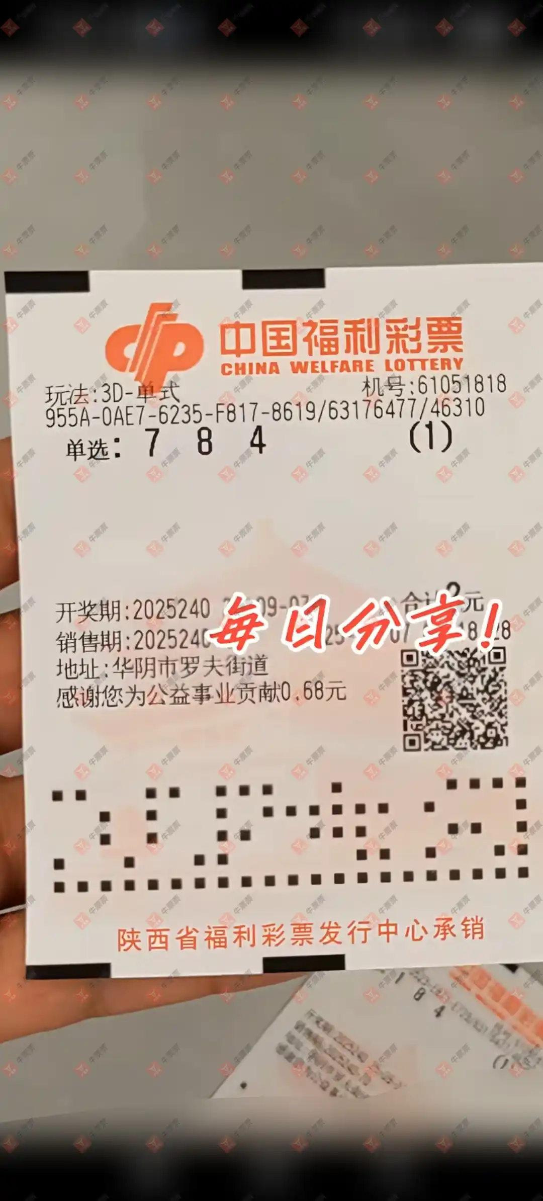 牛票票