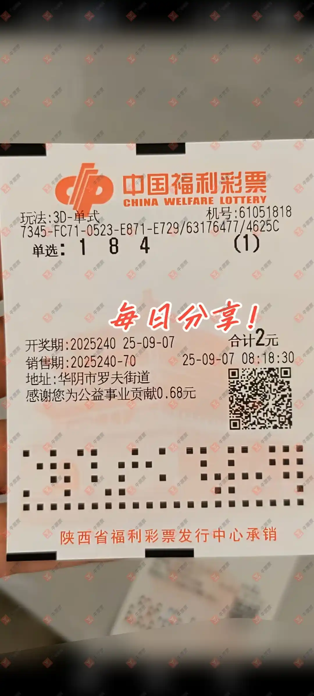 牛票票