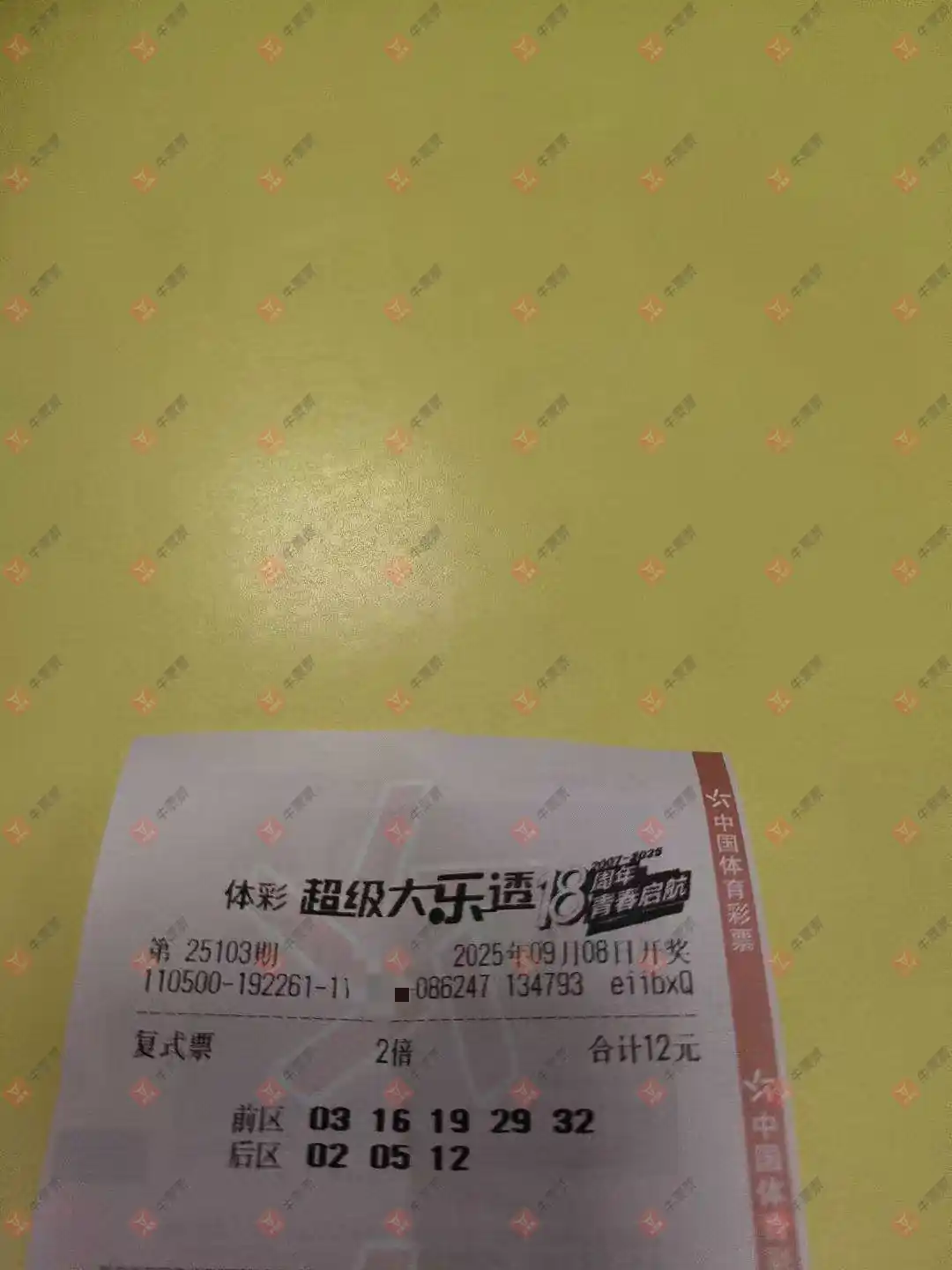 牛票票