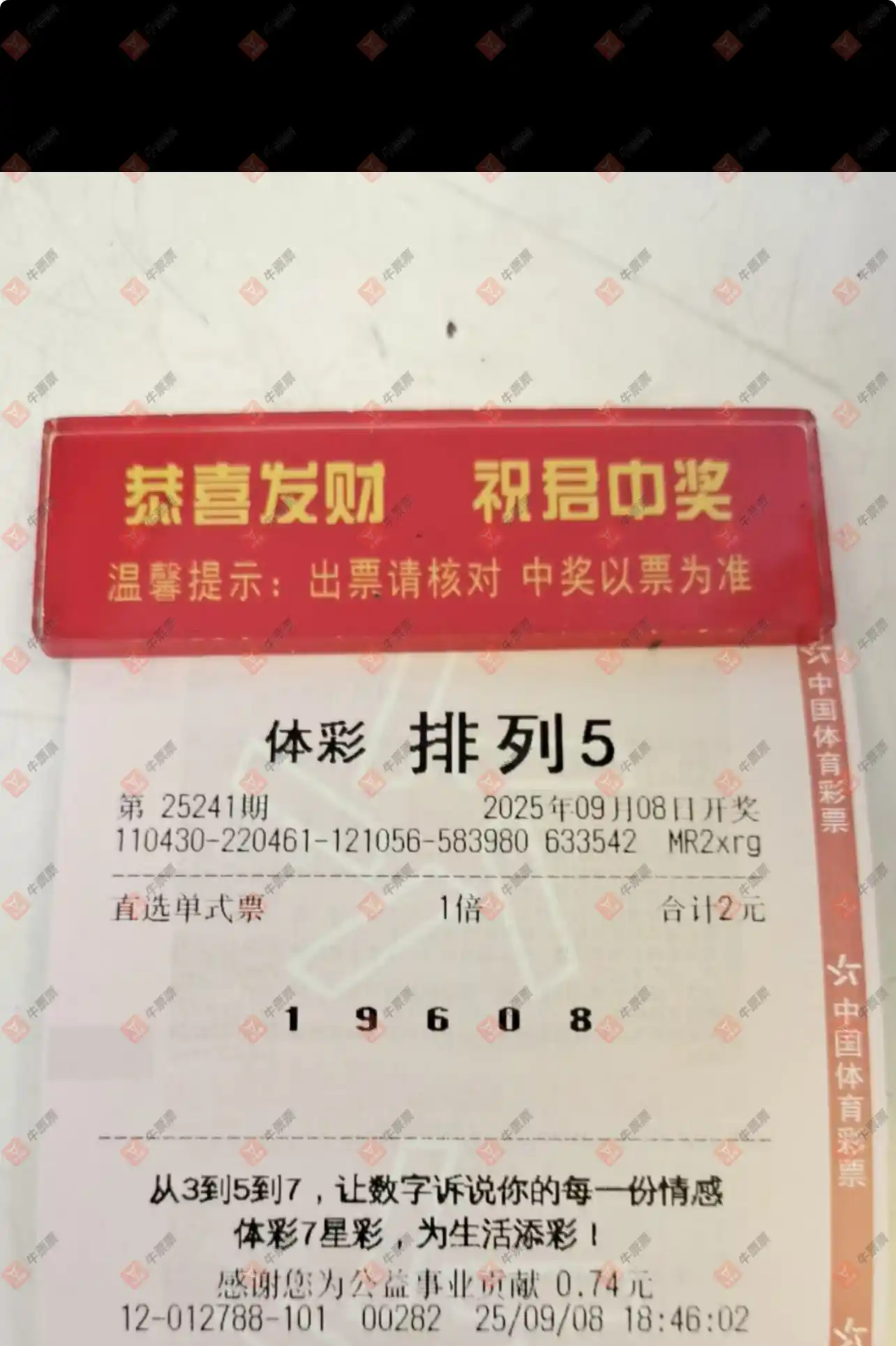 牛票票