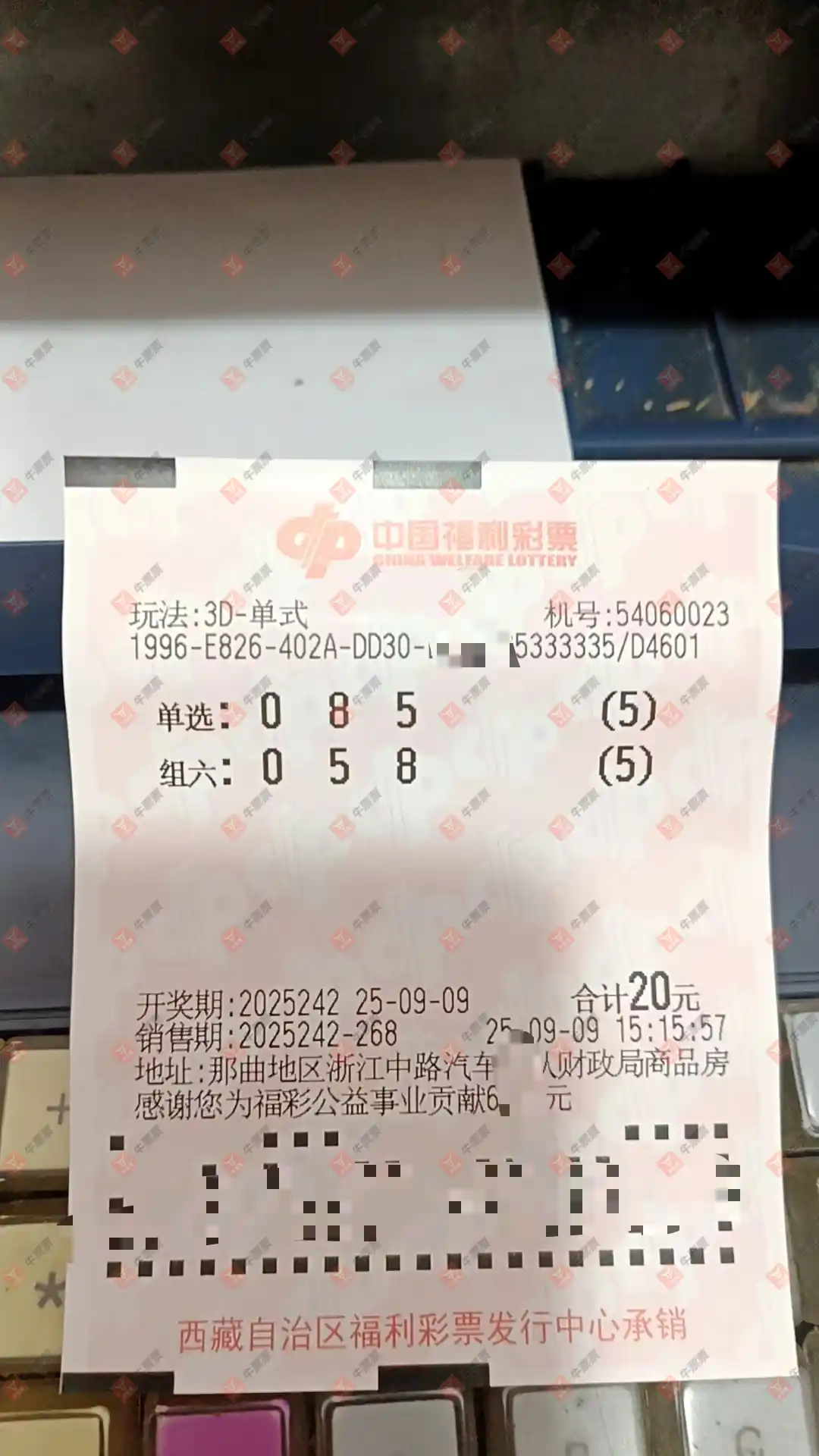 牛票票