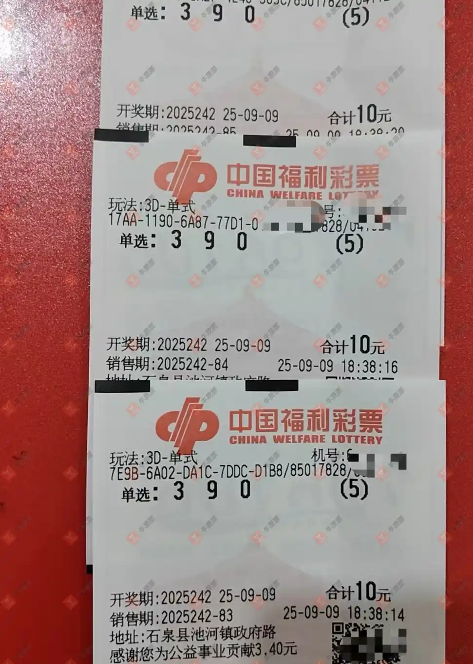 牛票票