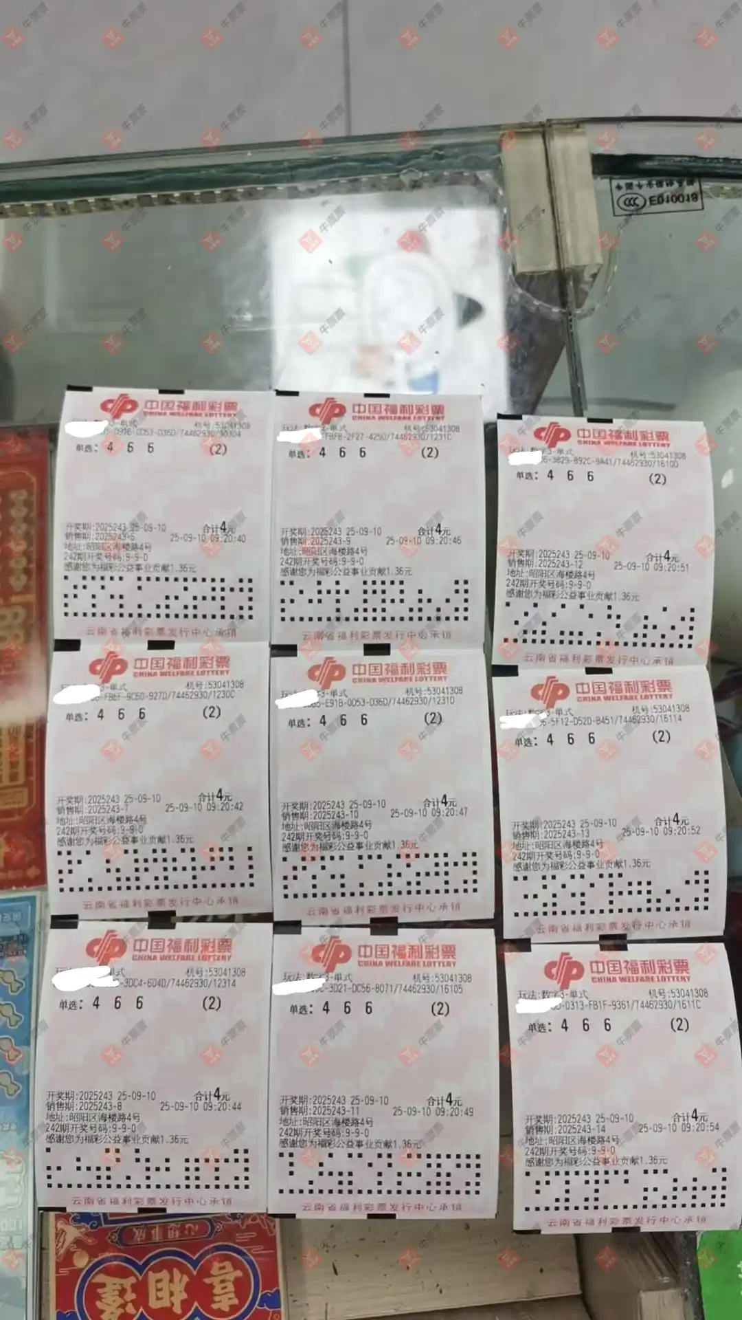 牛票票