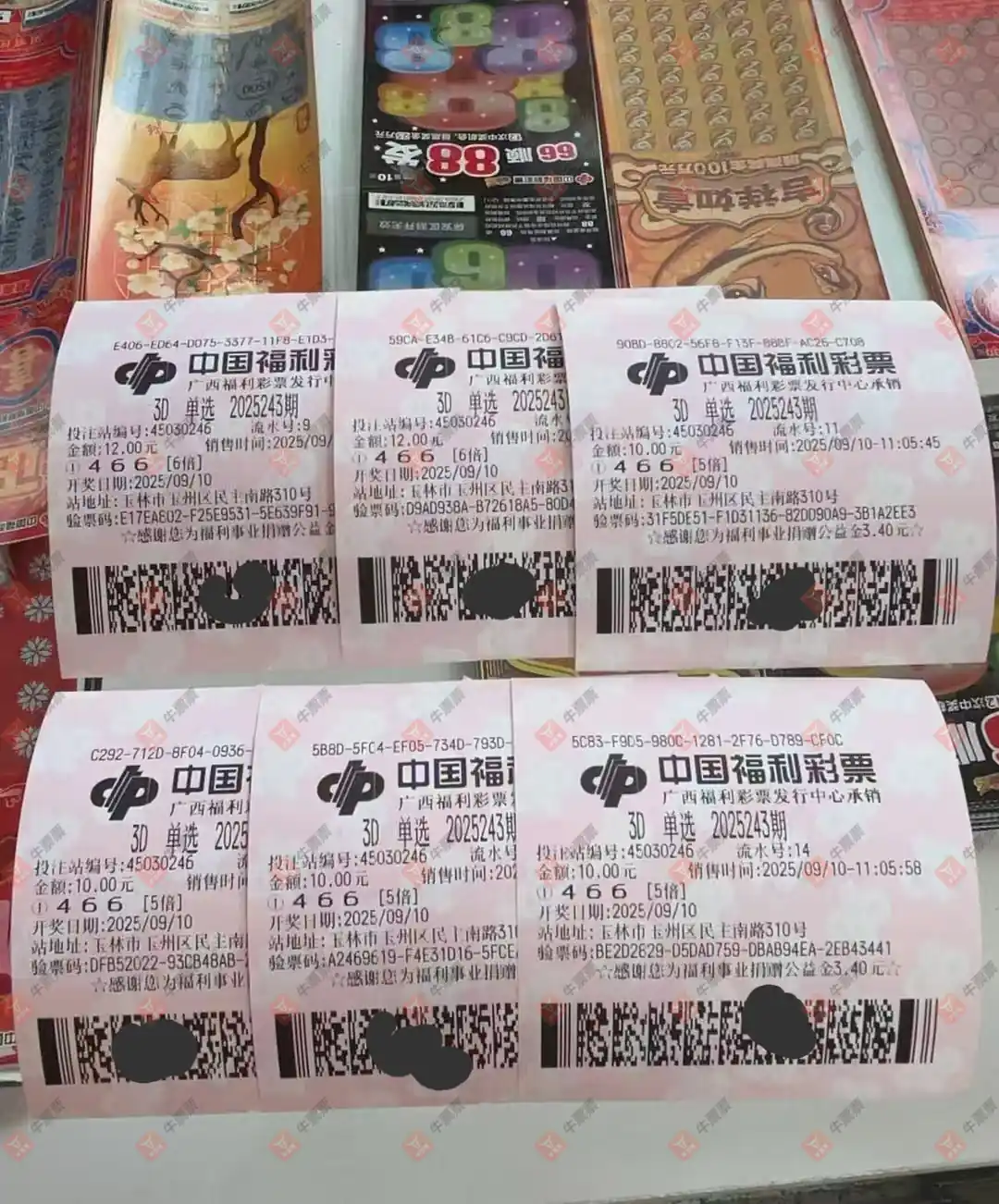 牛票票
