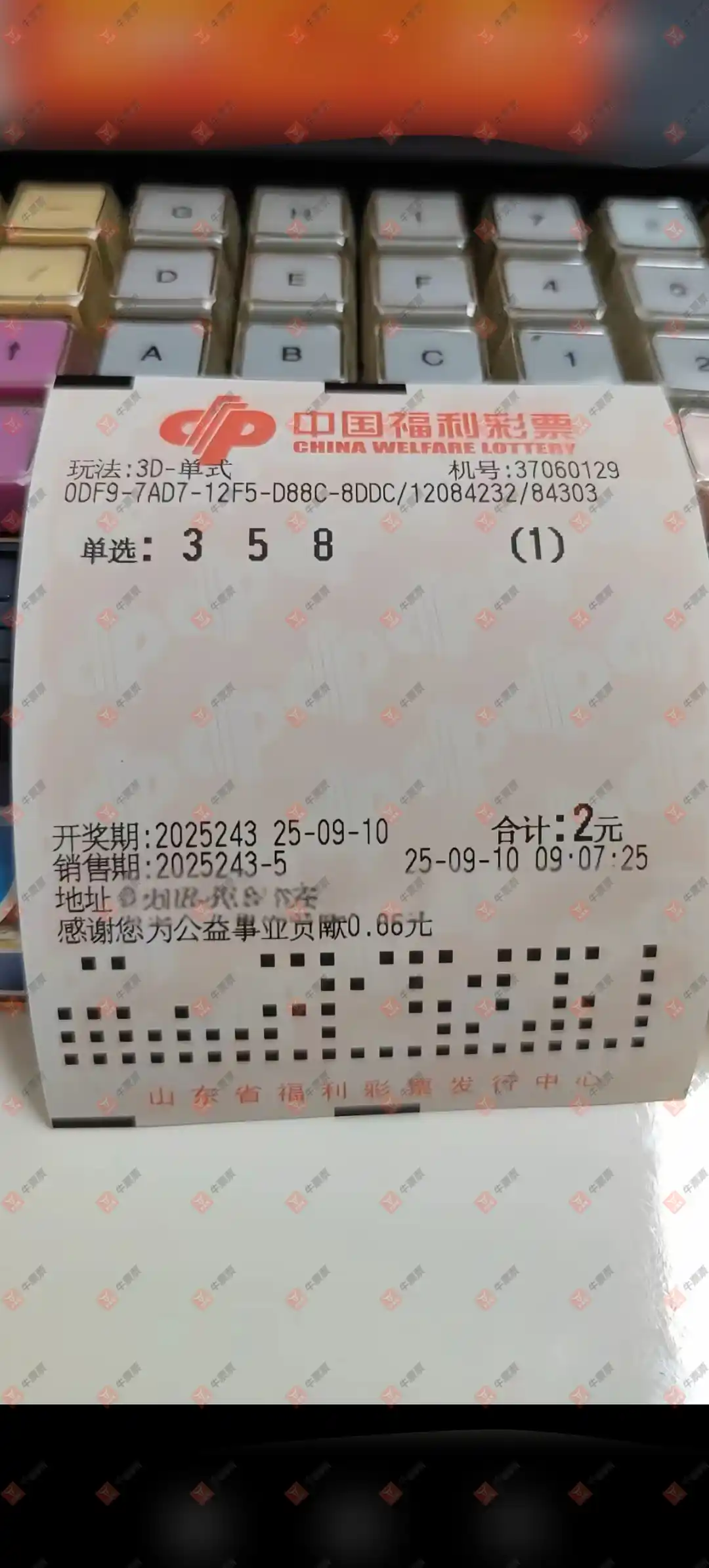 牛票票