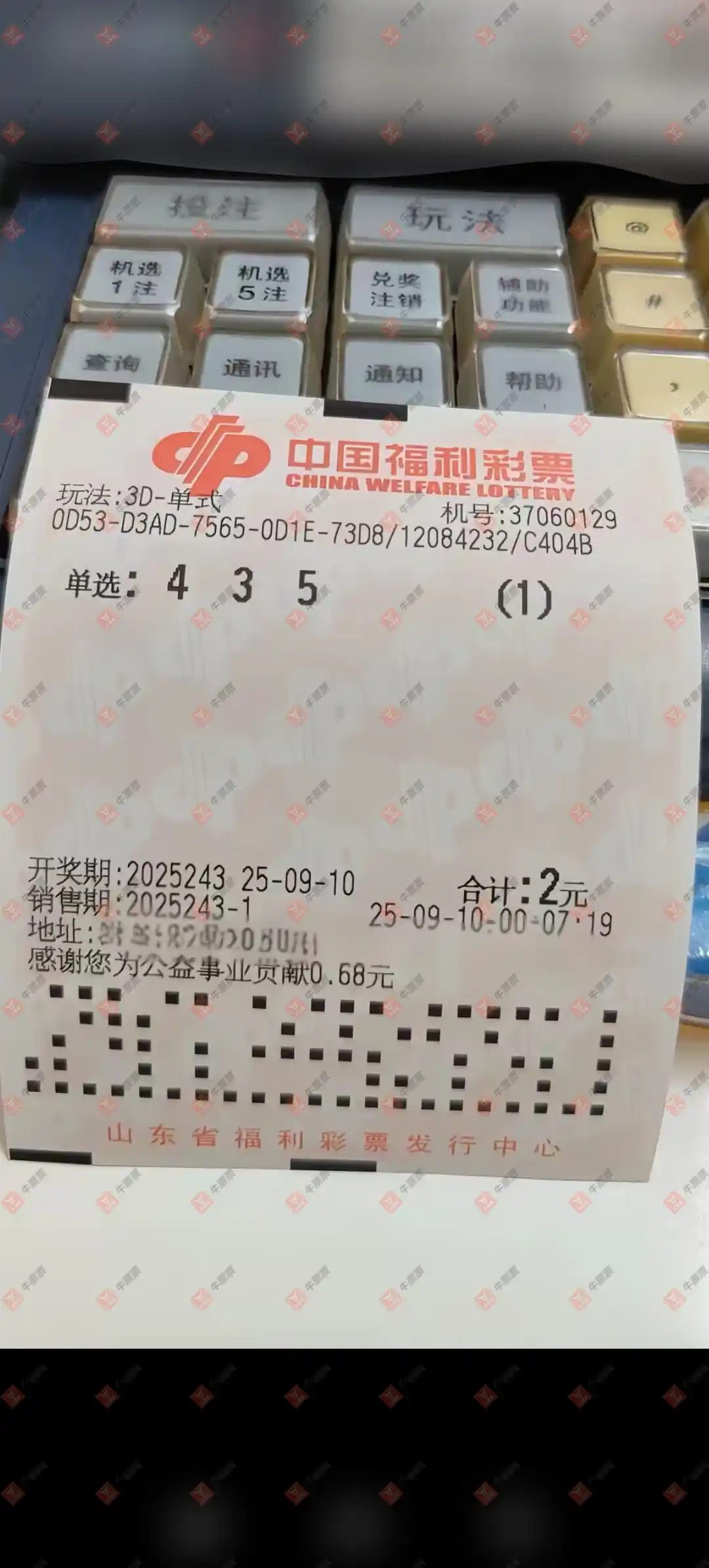 牛票票
