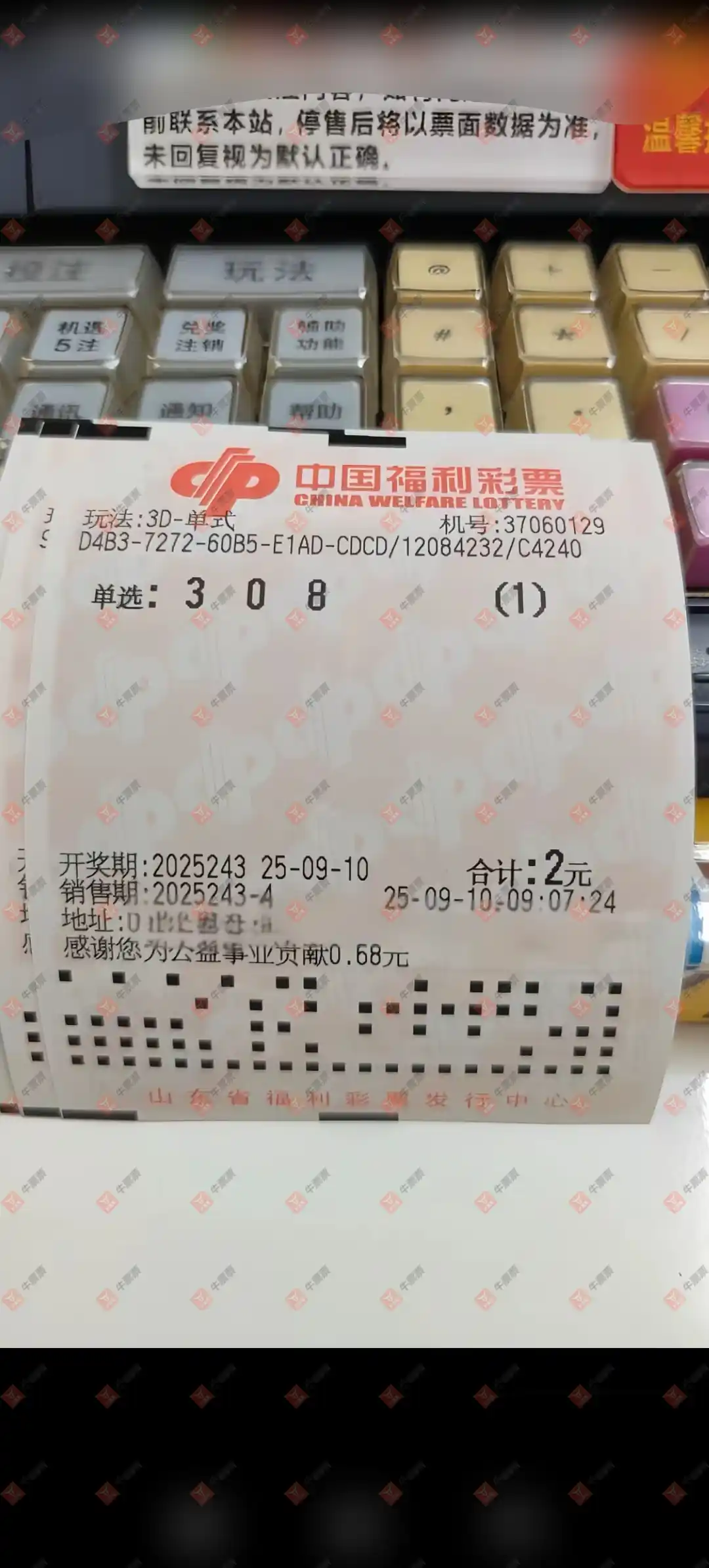 牛票票