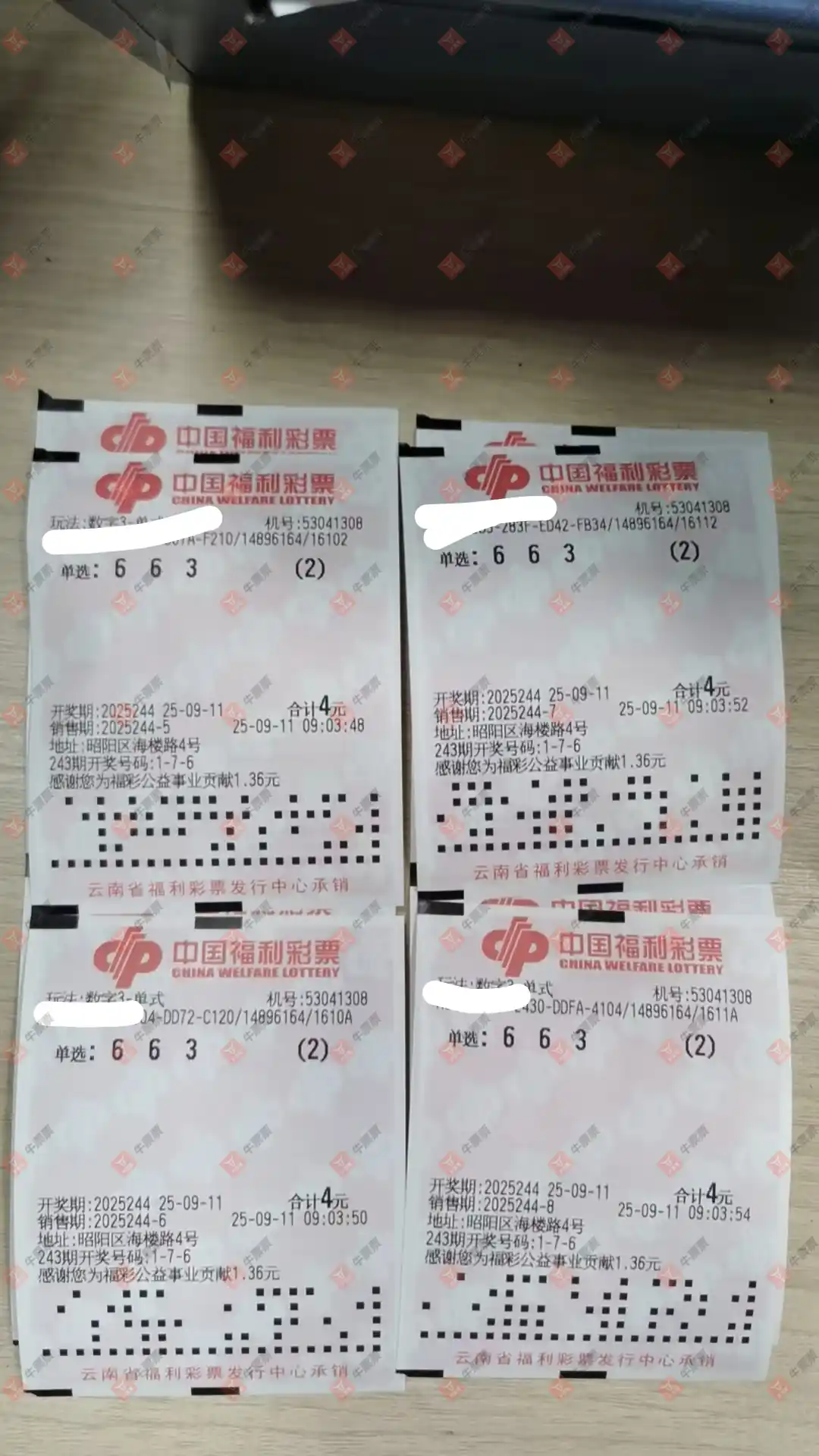 牛票票
