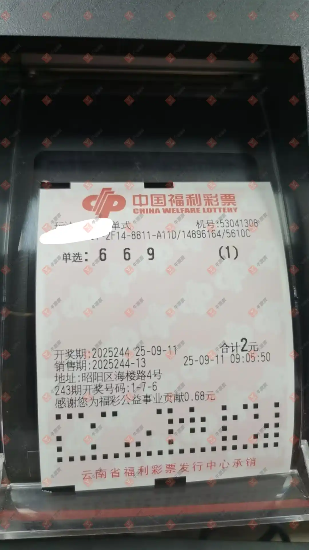 牛票票