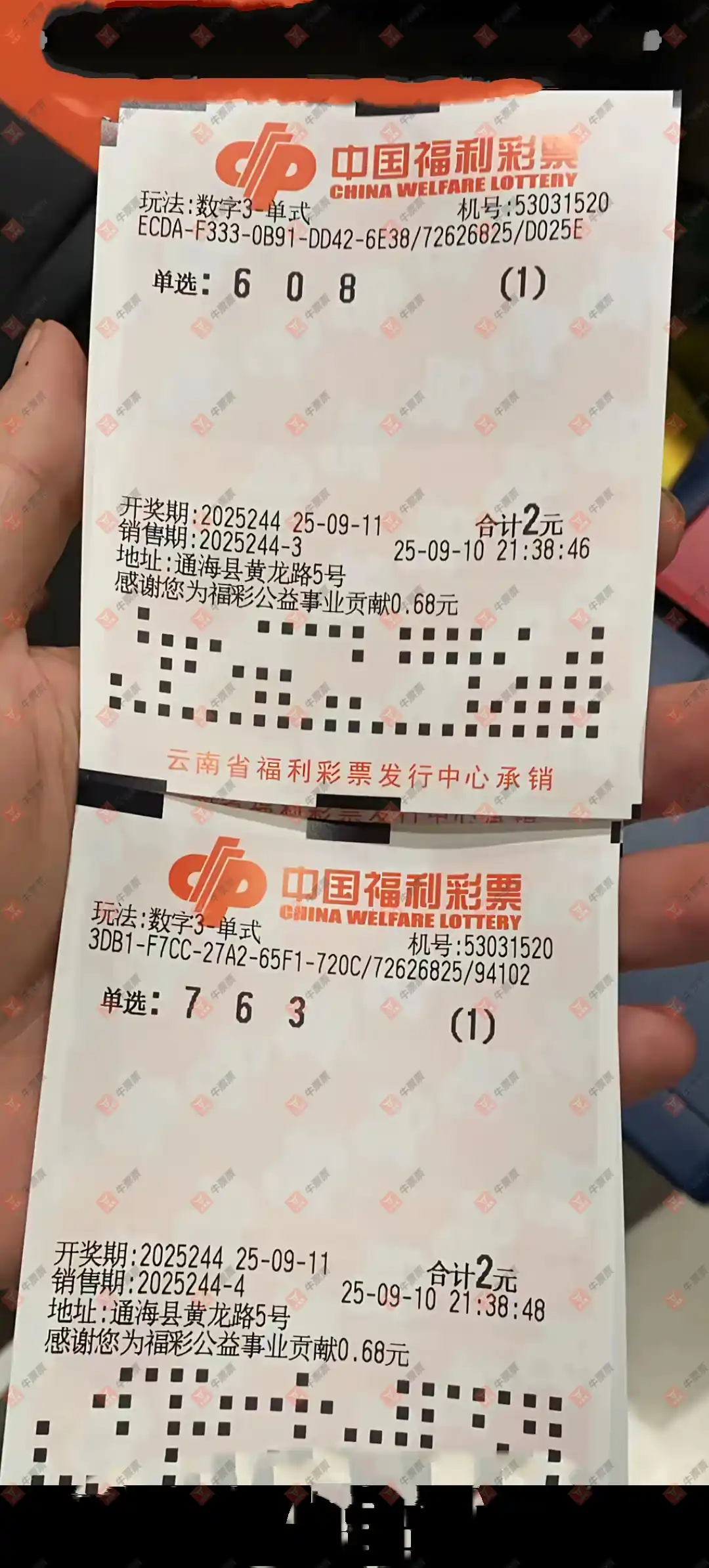 牛票票