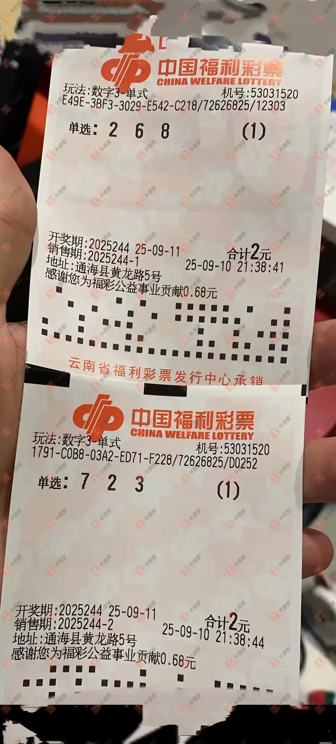 牛票票