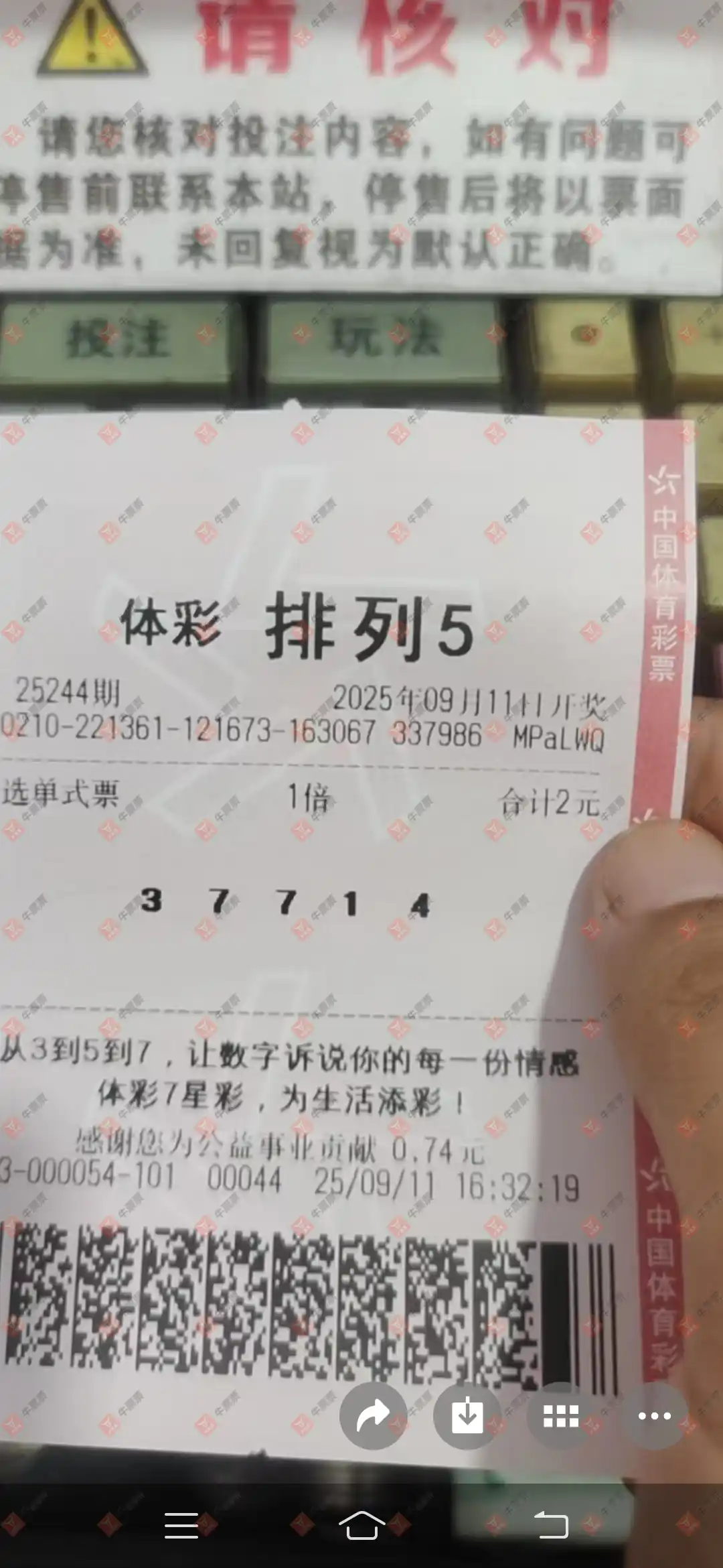 牛票票