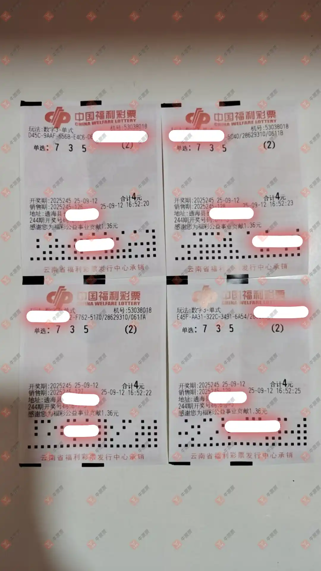牛票票