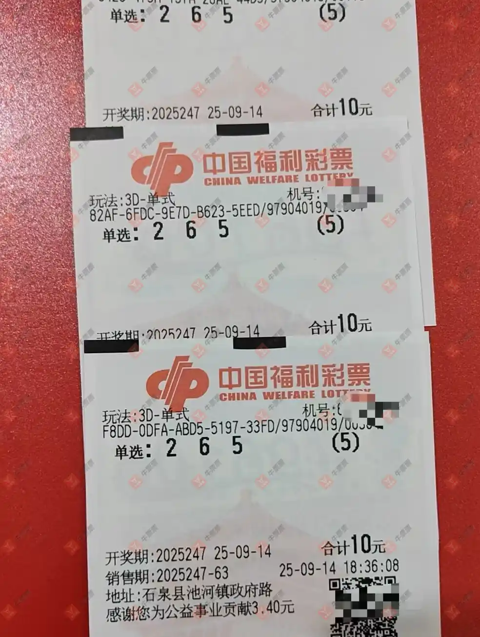 牛票票