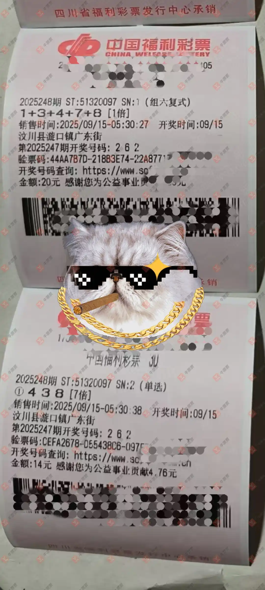 牛票票