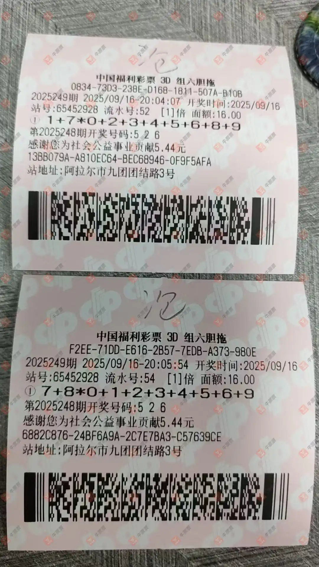 牛票票