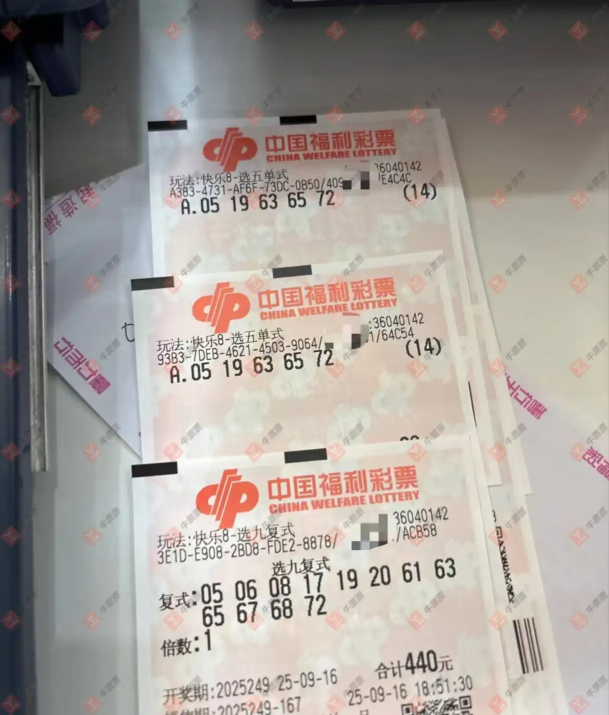 牛票票