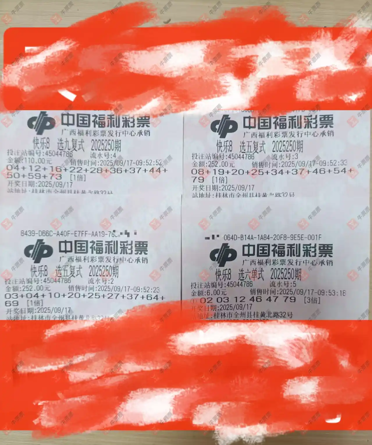 牛票票