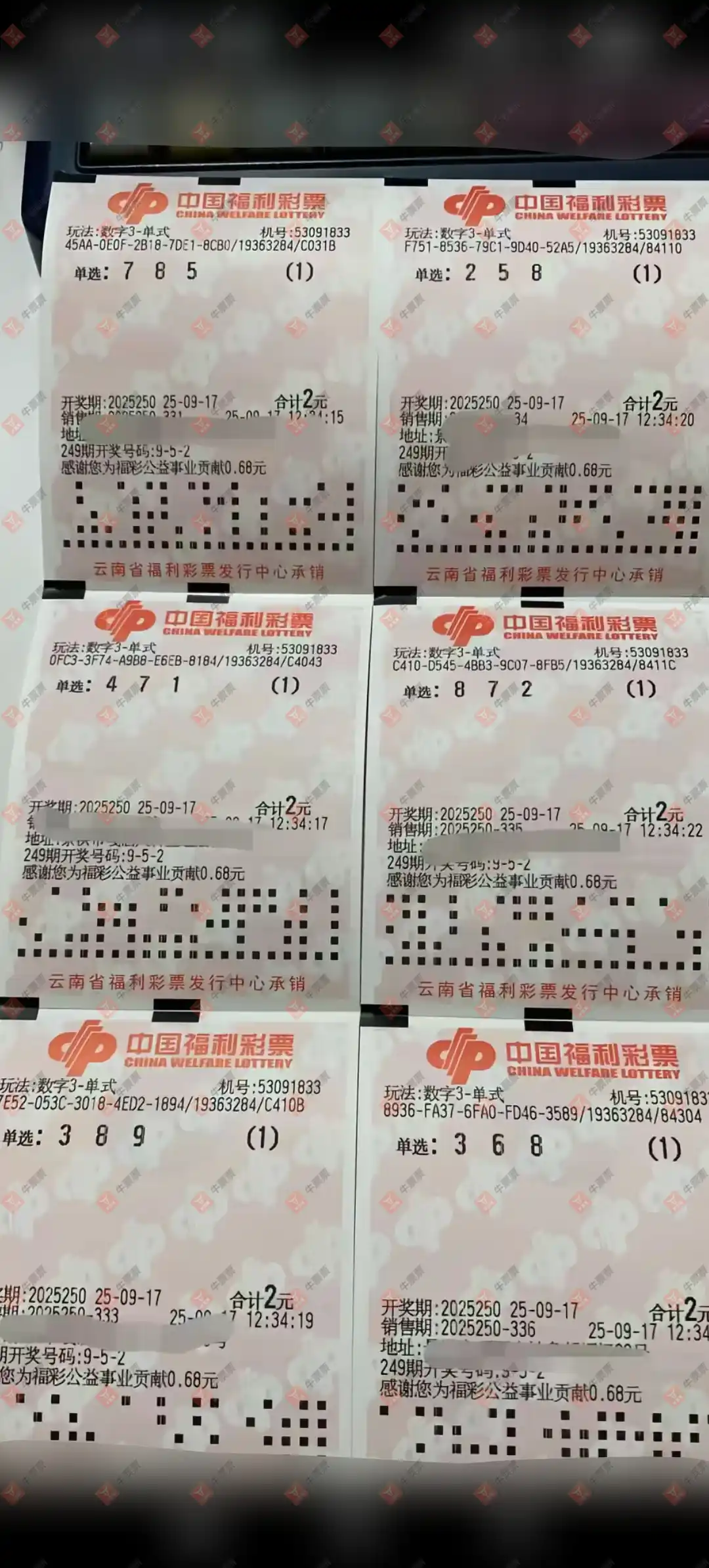 牛票票