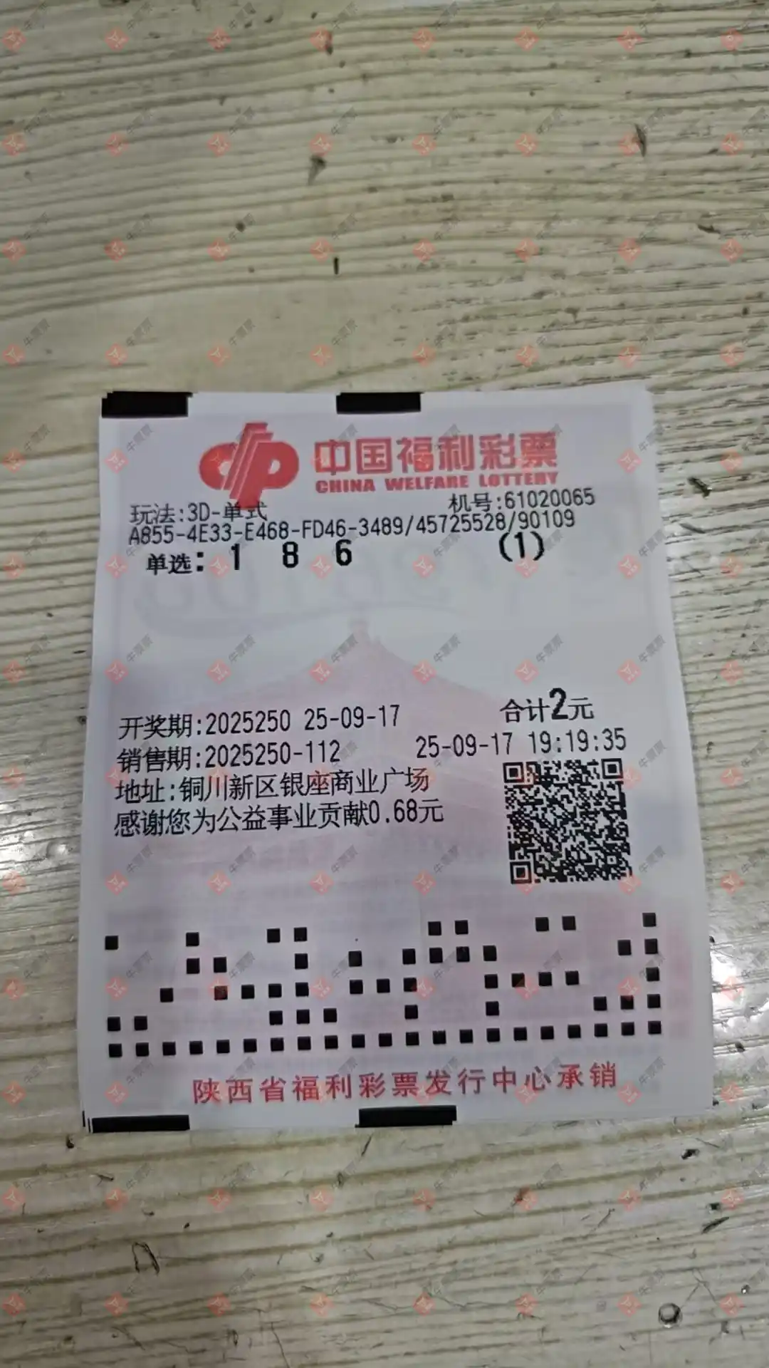 牛票票