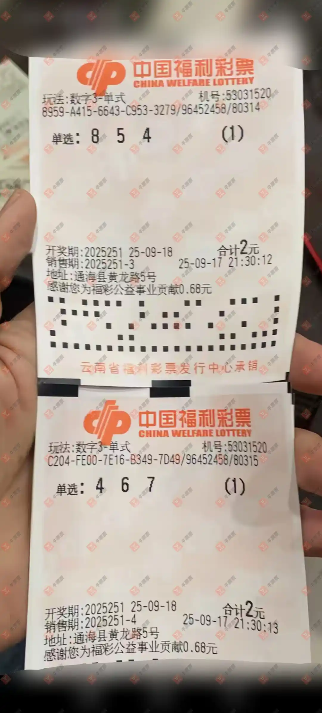 牛票票