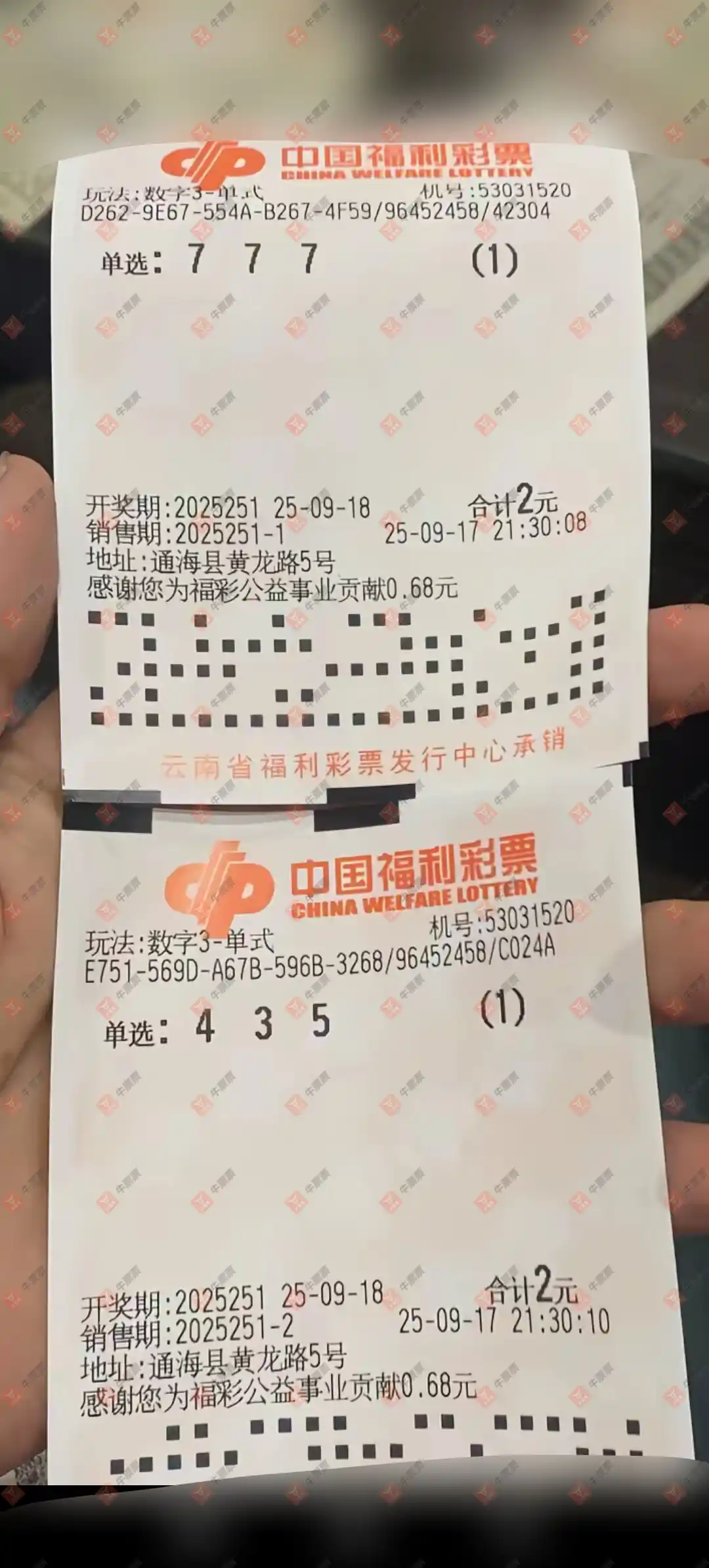 牛票票