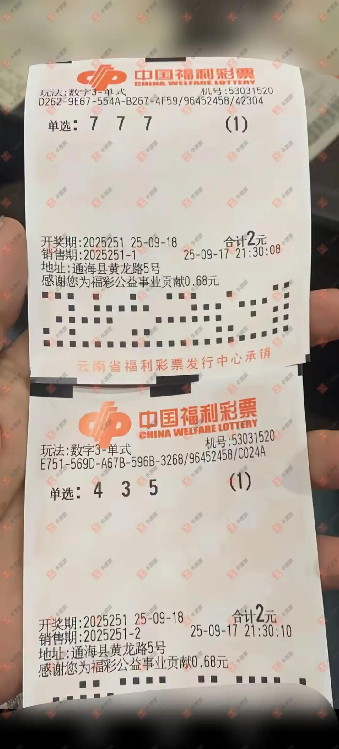 牛票票