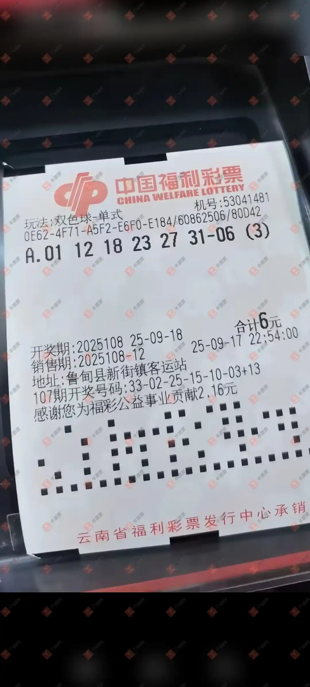 牛票票
