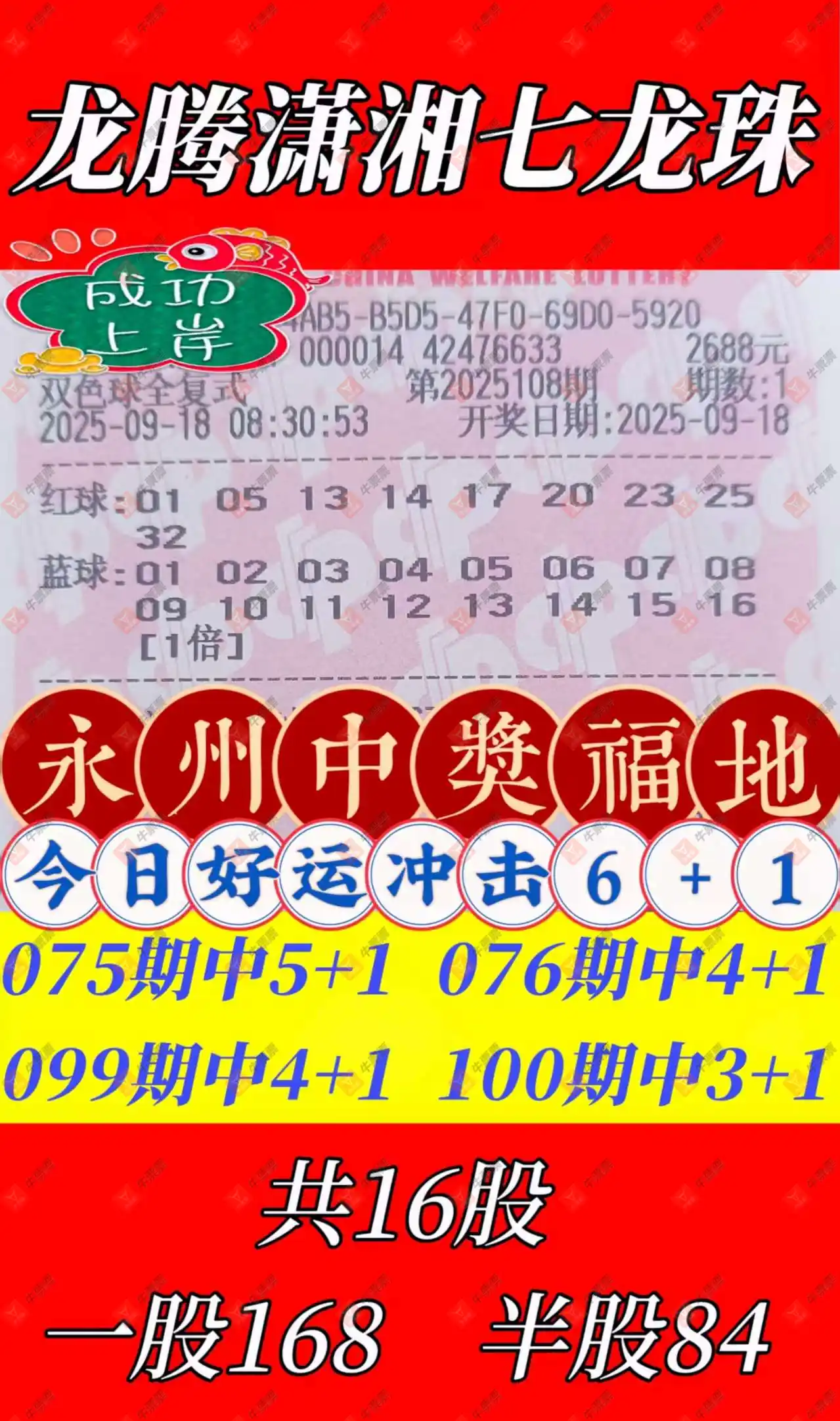 牛票票