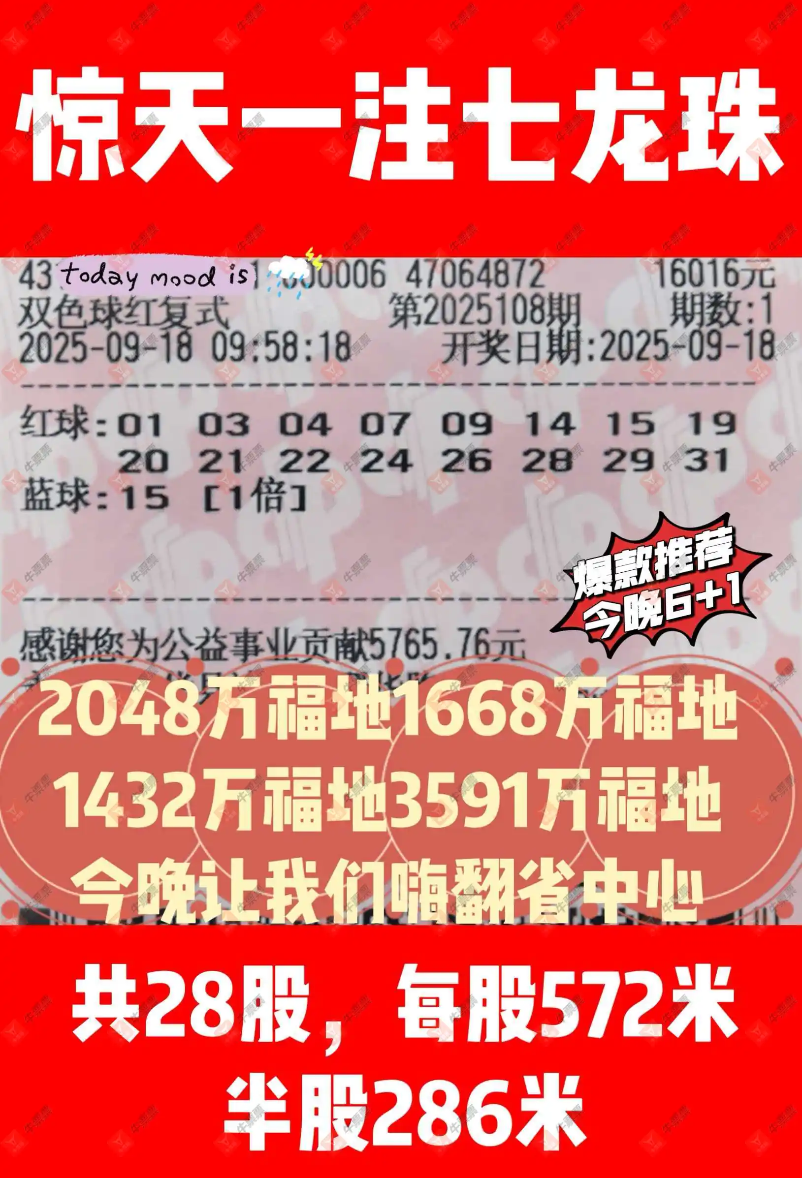 牛票票