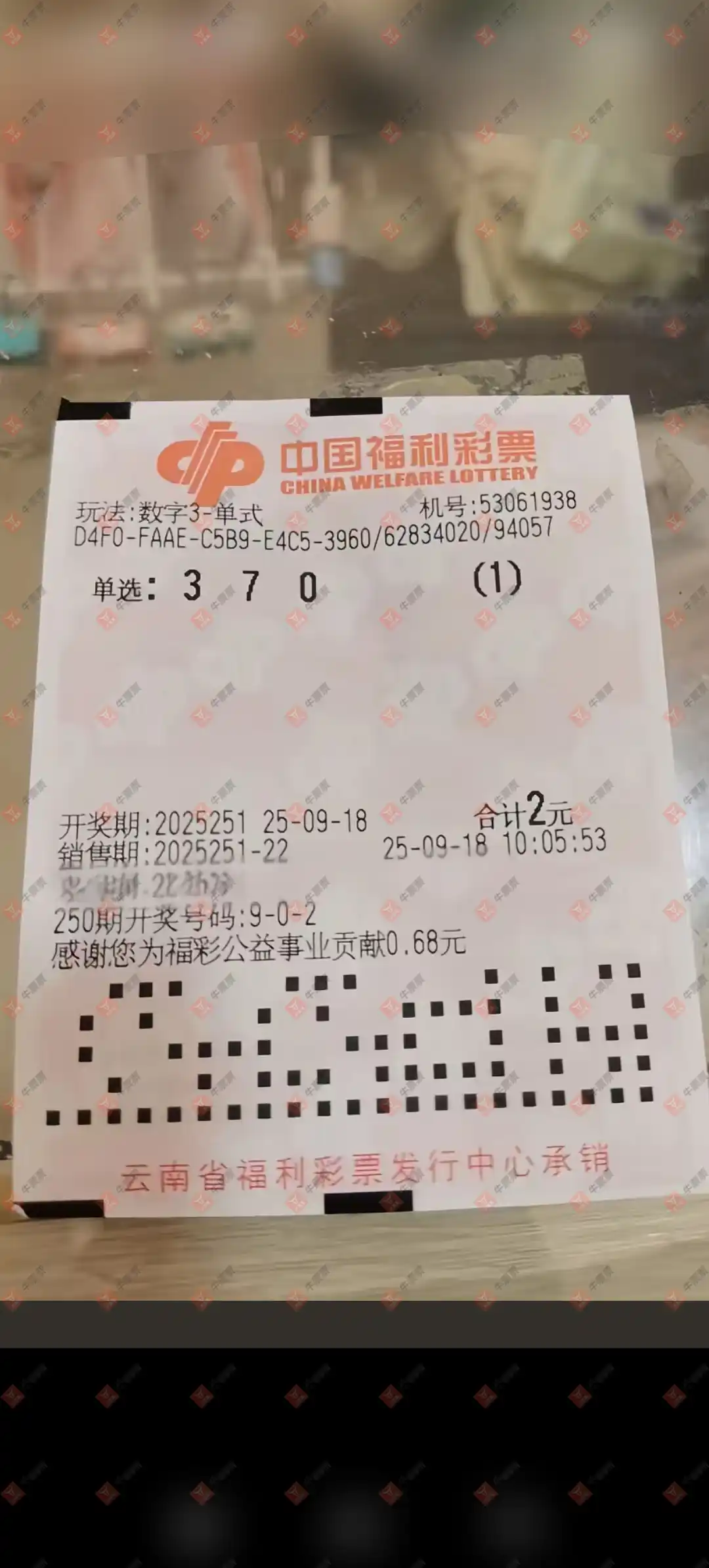 牛票票