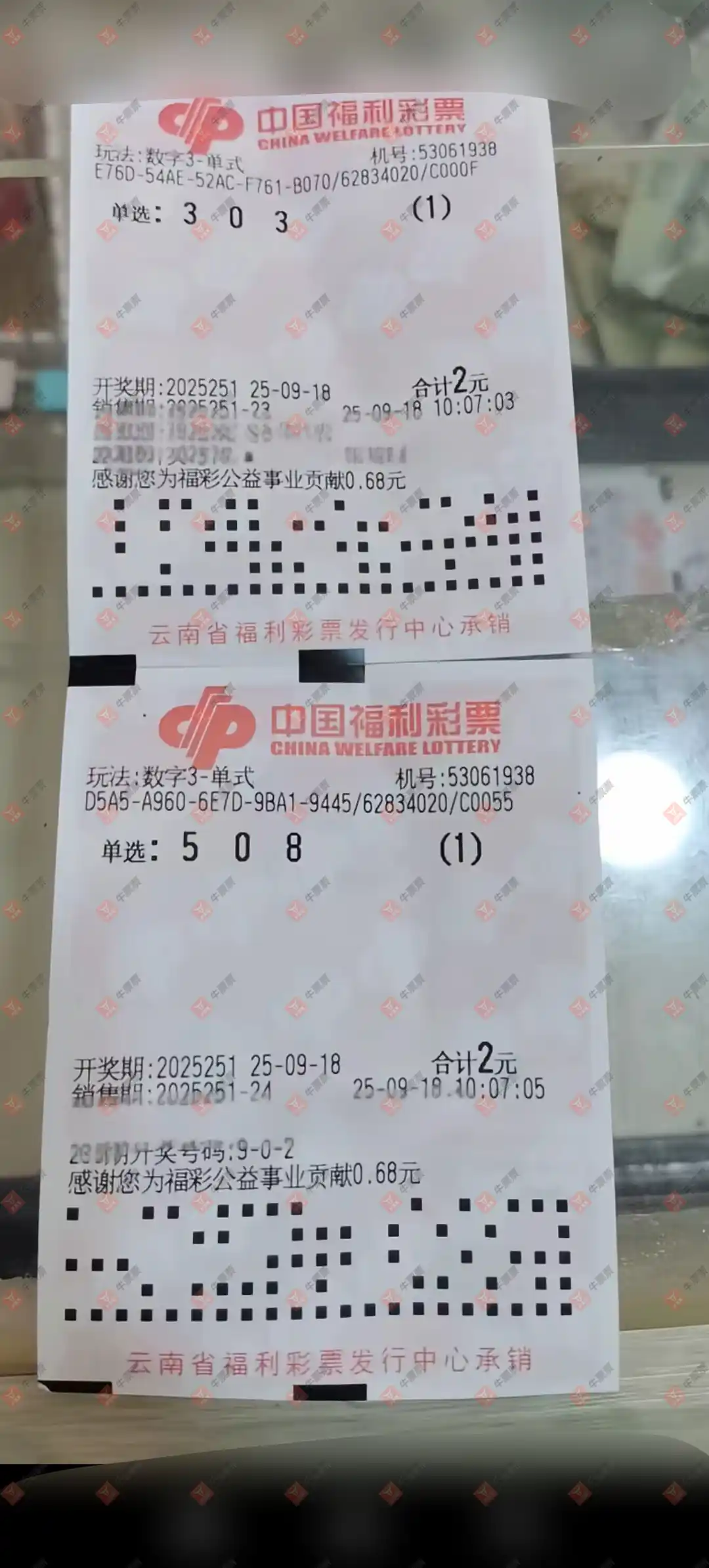 牛票票