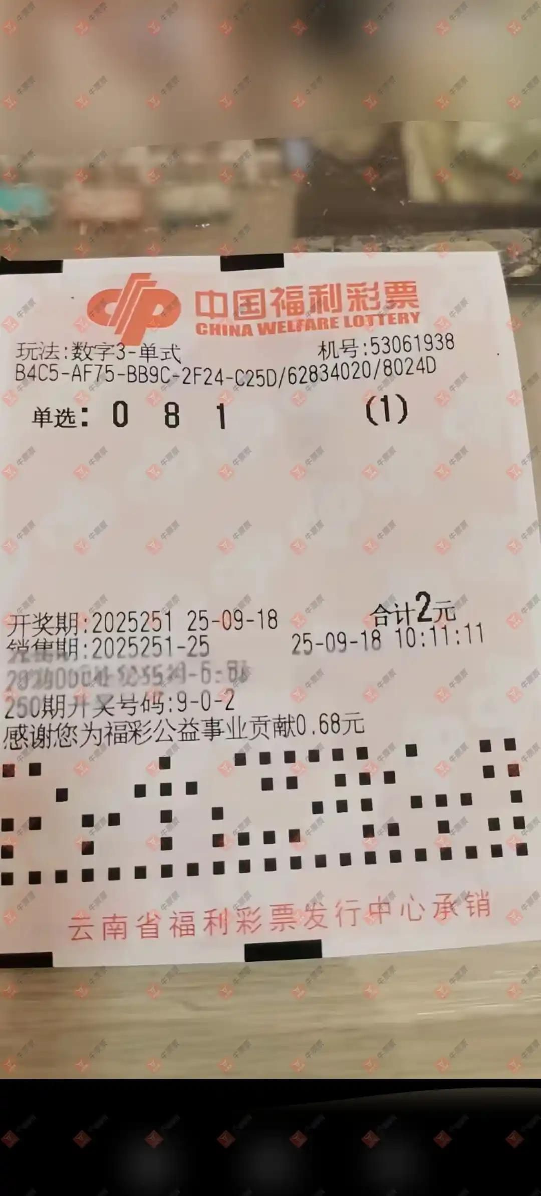 牛票票