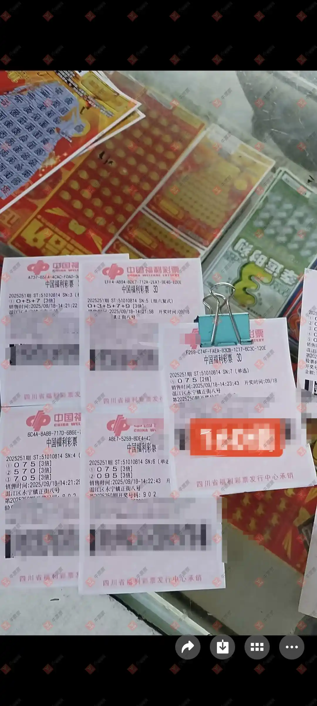 牛票票