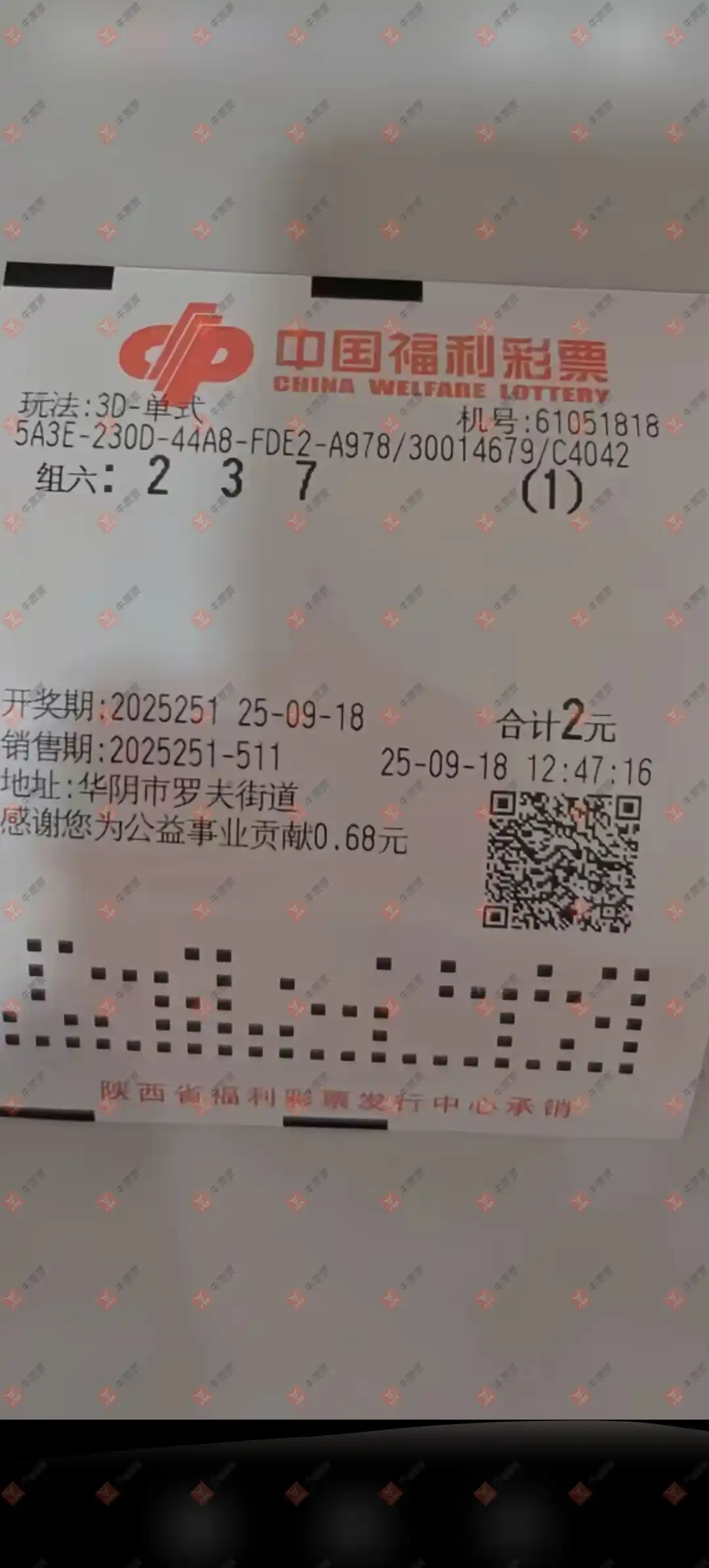 牛票票