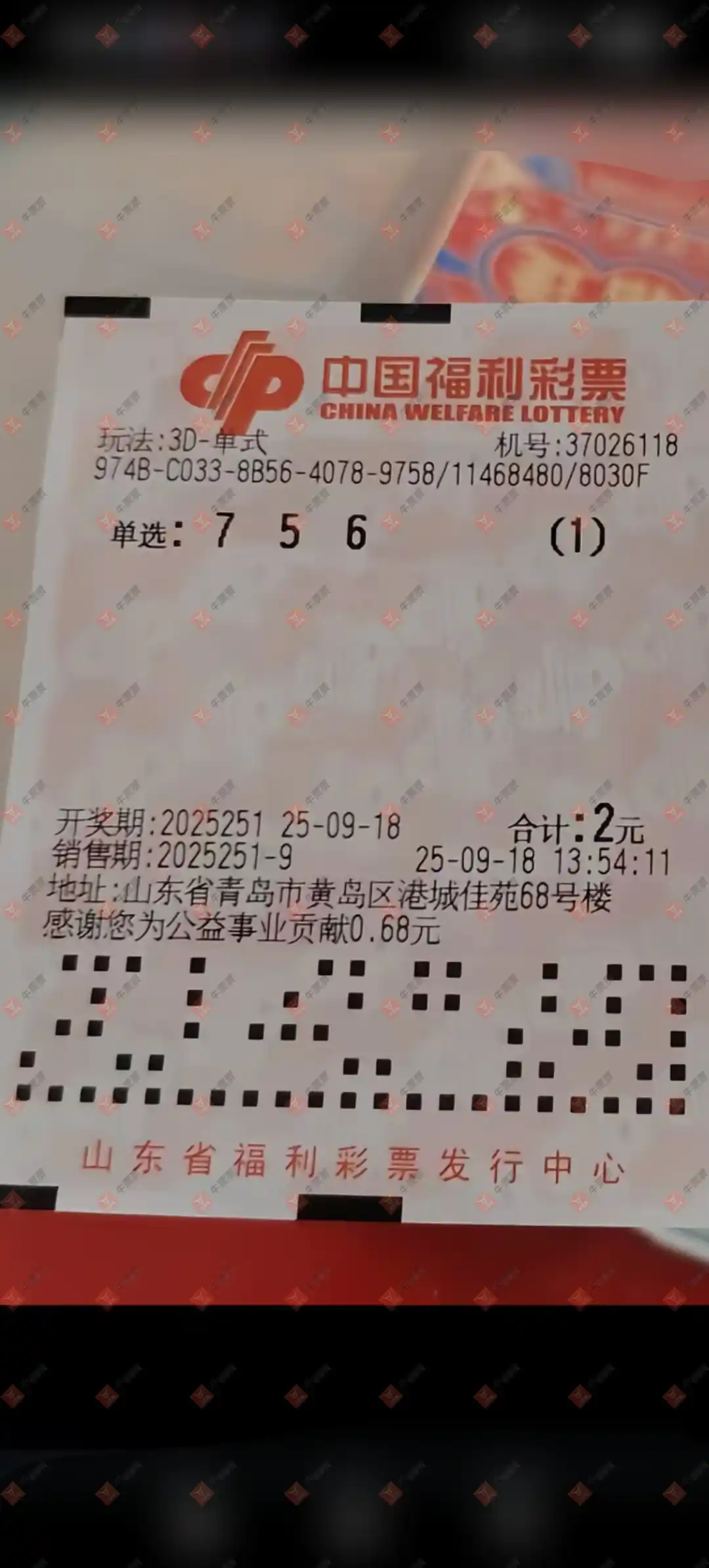 牛票票