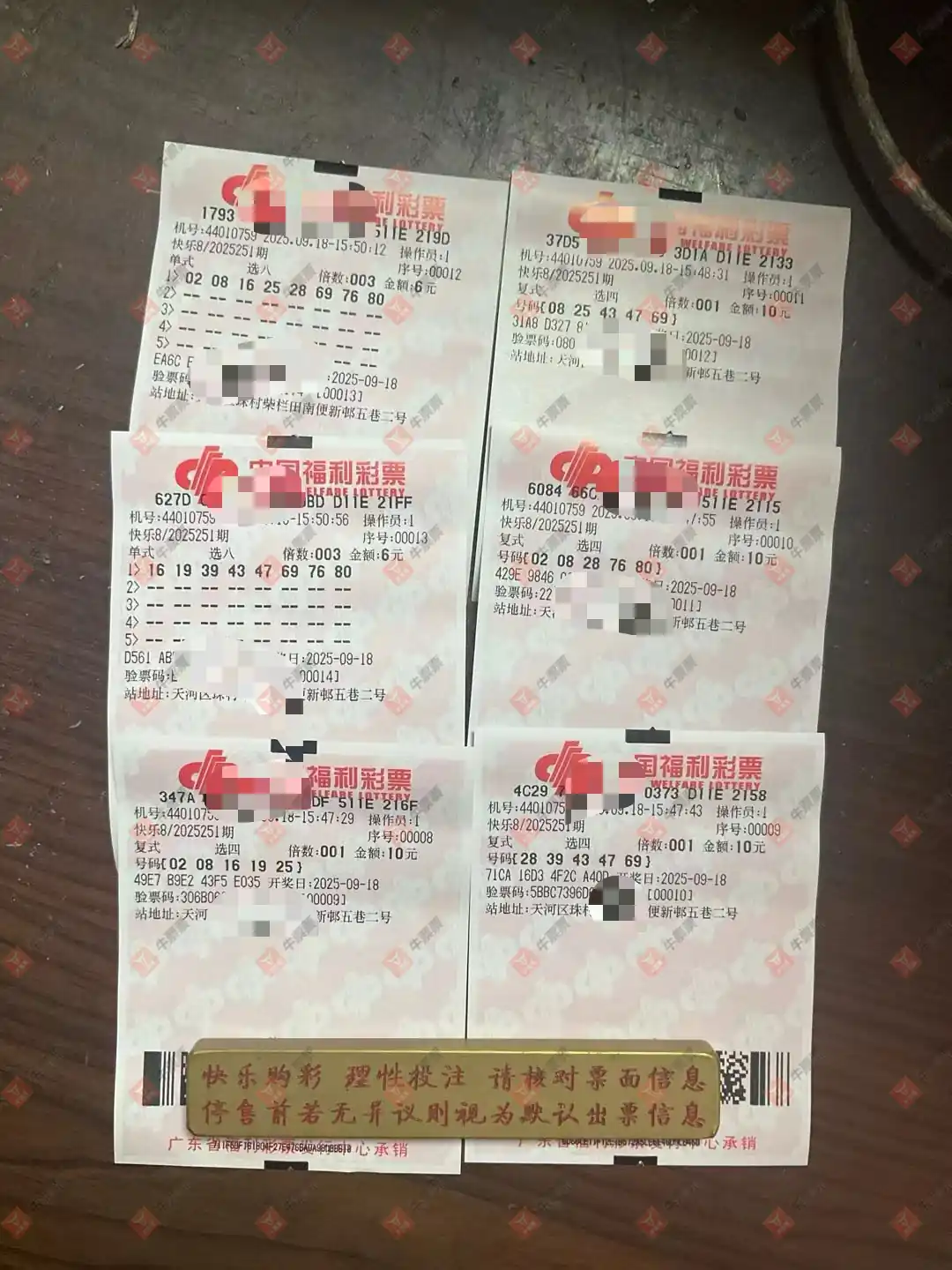 牛票票