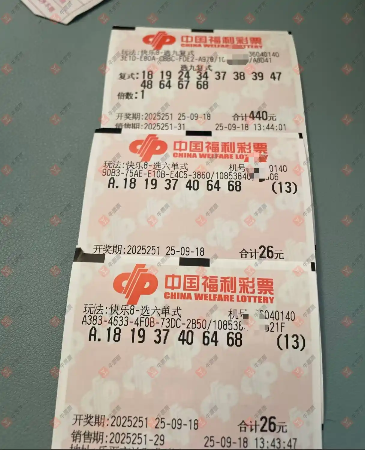 牛票票