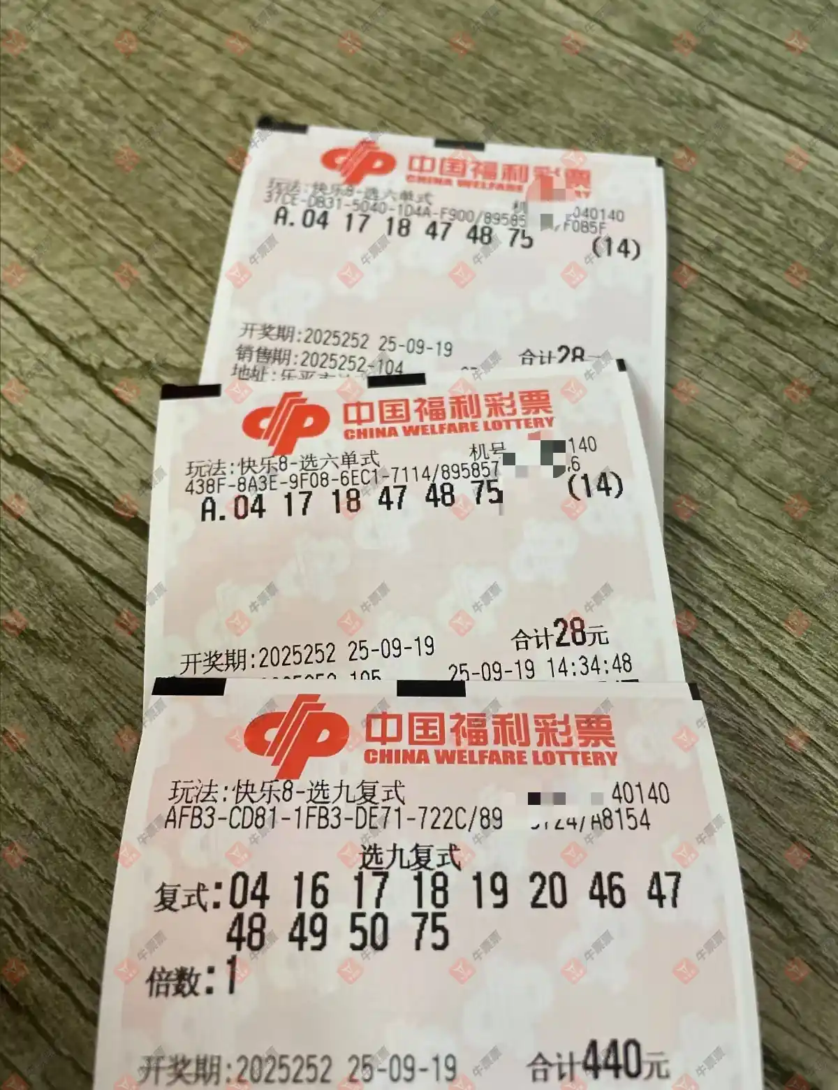 牛票票