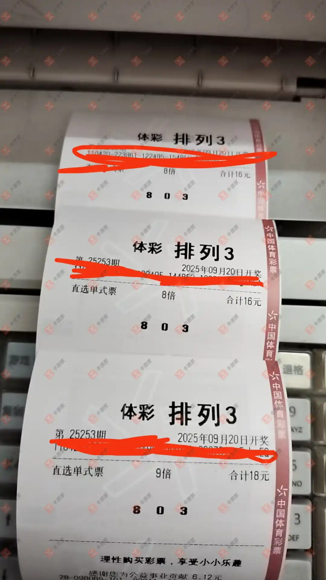 牛票票