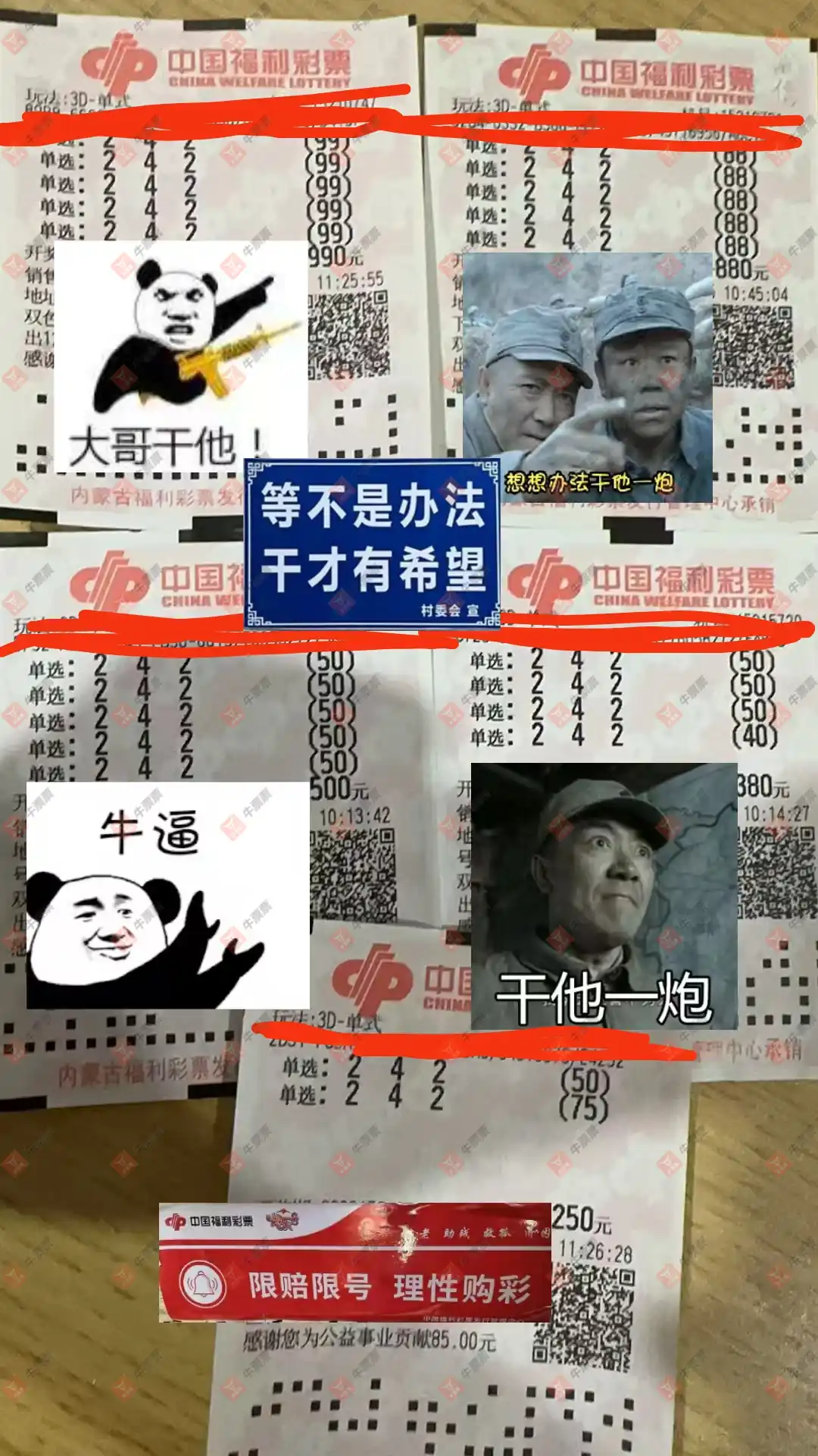 牛票票