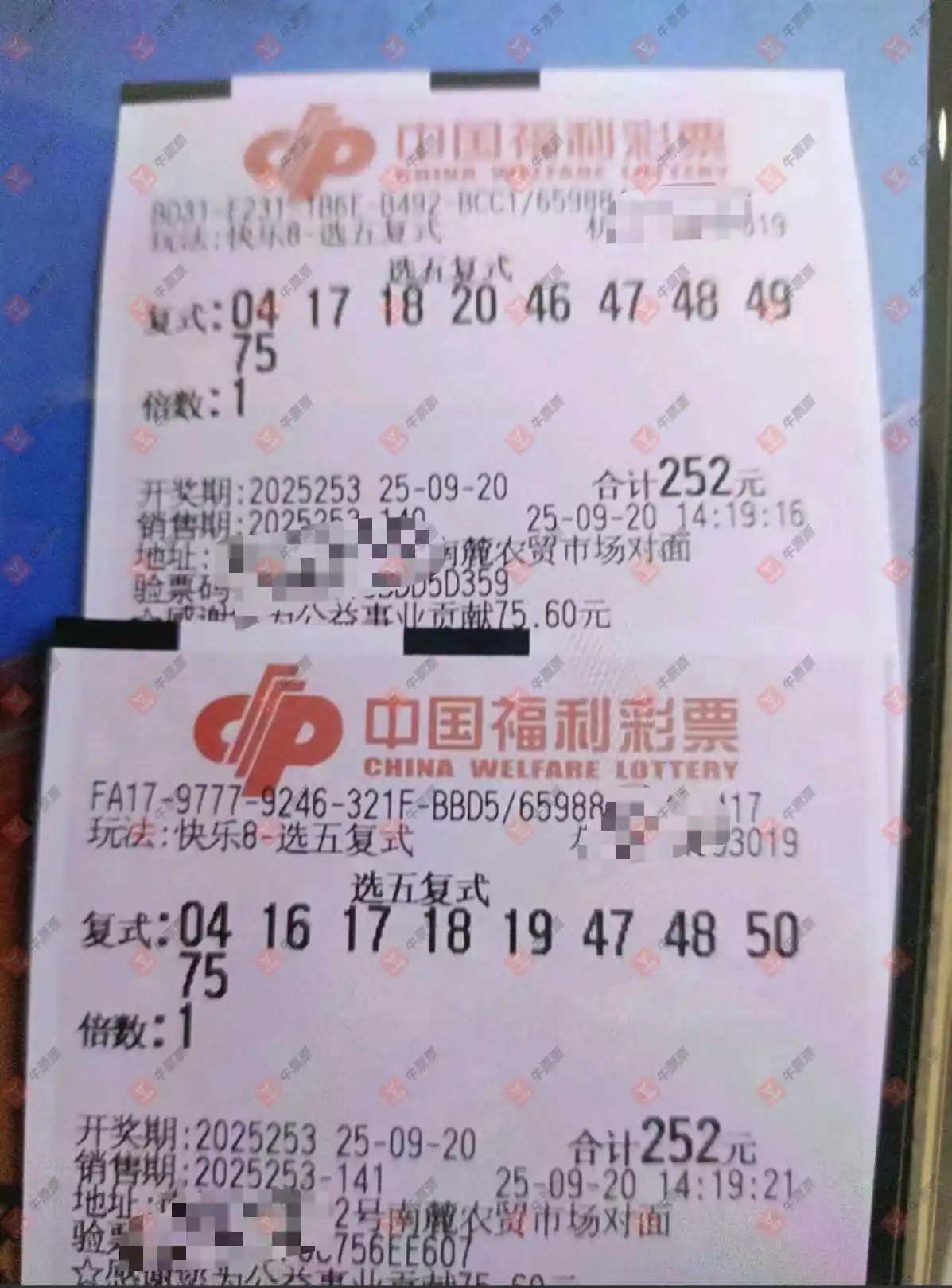 牛票票