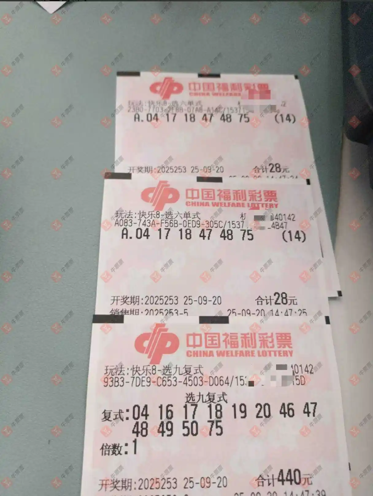 牛票票