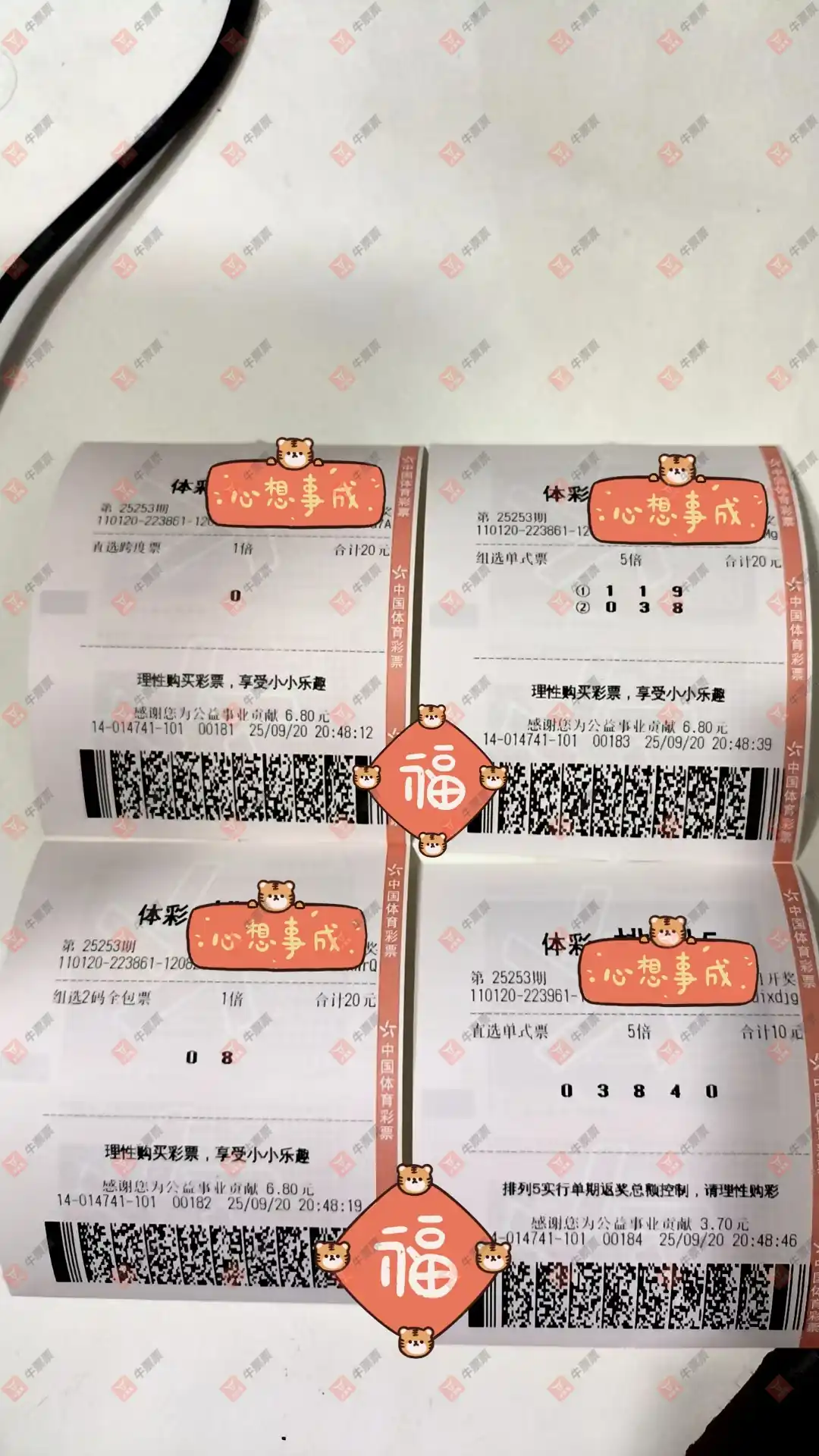 牛票票