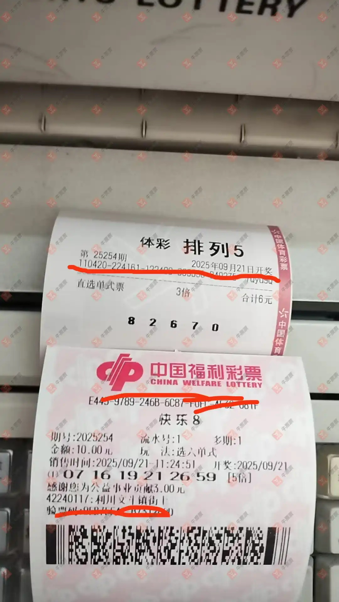 牛票票