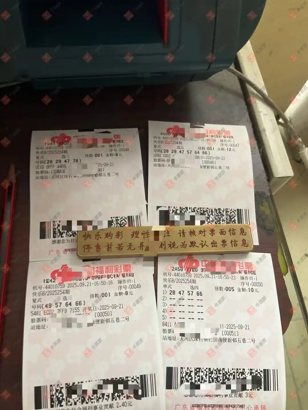 牛票票