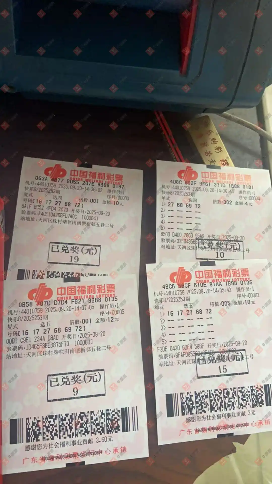 牛票票