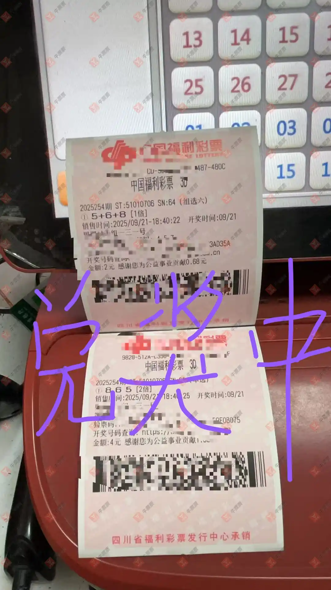 牛票票