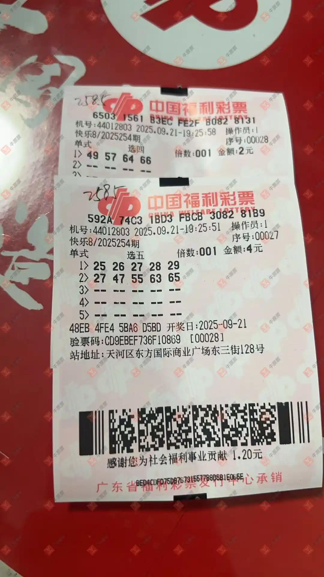 牛票票