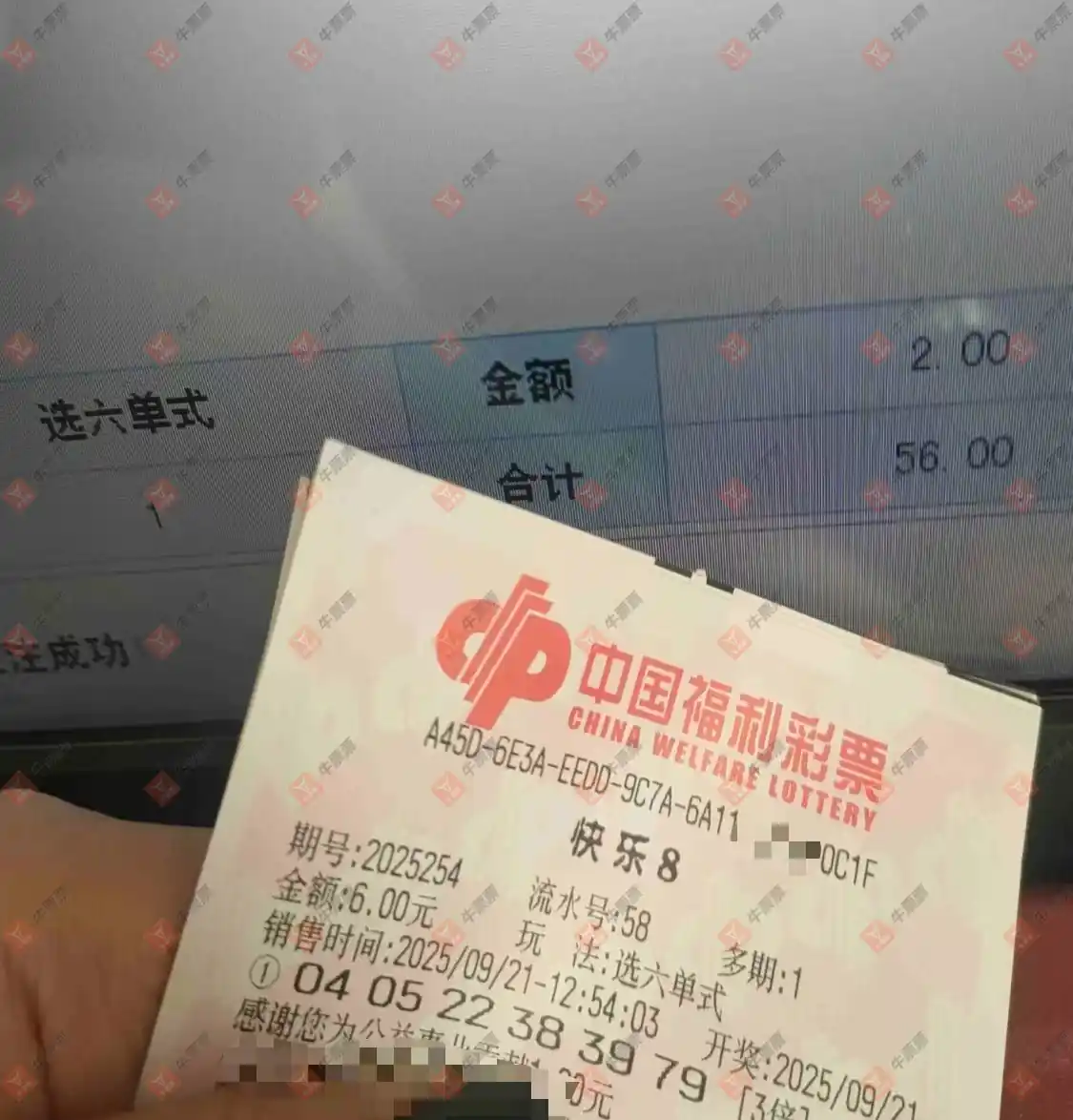 牛票票